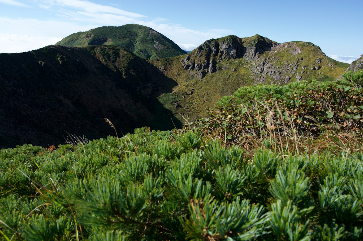 Üppige grüne Berglandschaft mit Felsformationen