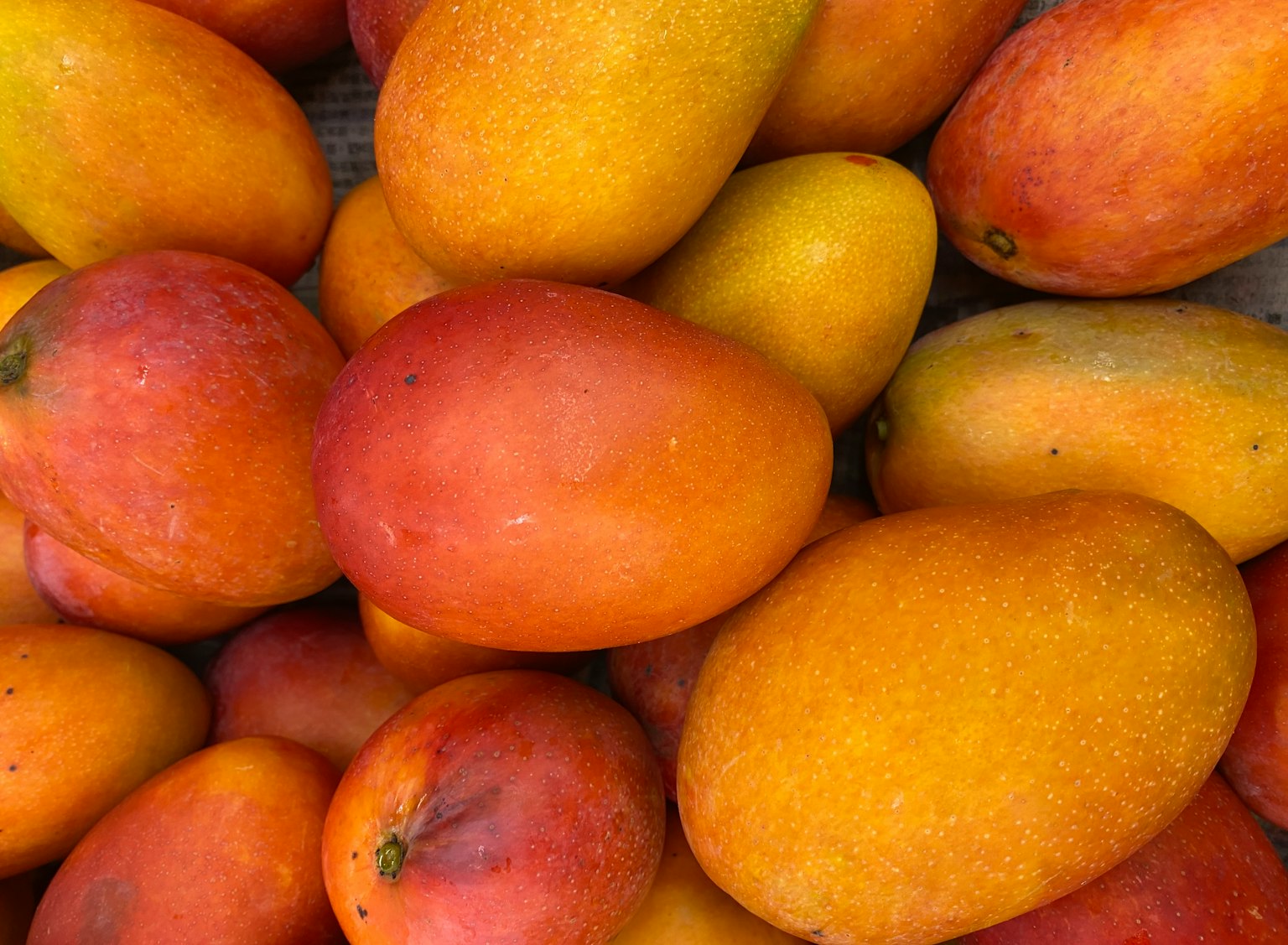 Un montón de mangos maduros en vibrantes tonos de naranja y amarillo