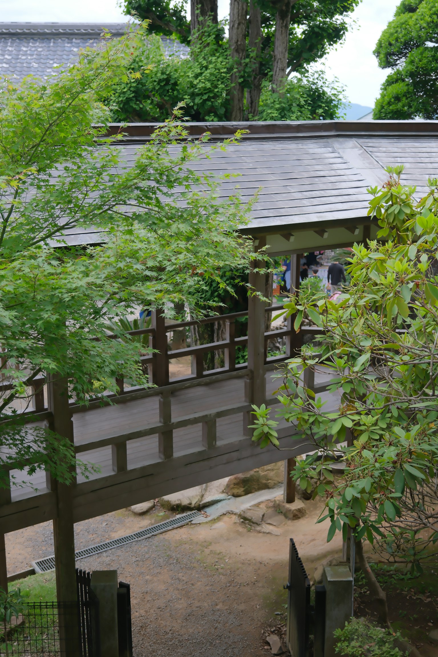 被郁郁葱葱的绿树环绕的传统日本建筑