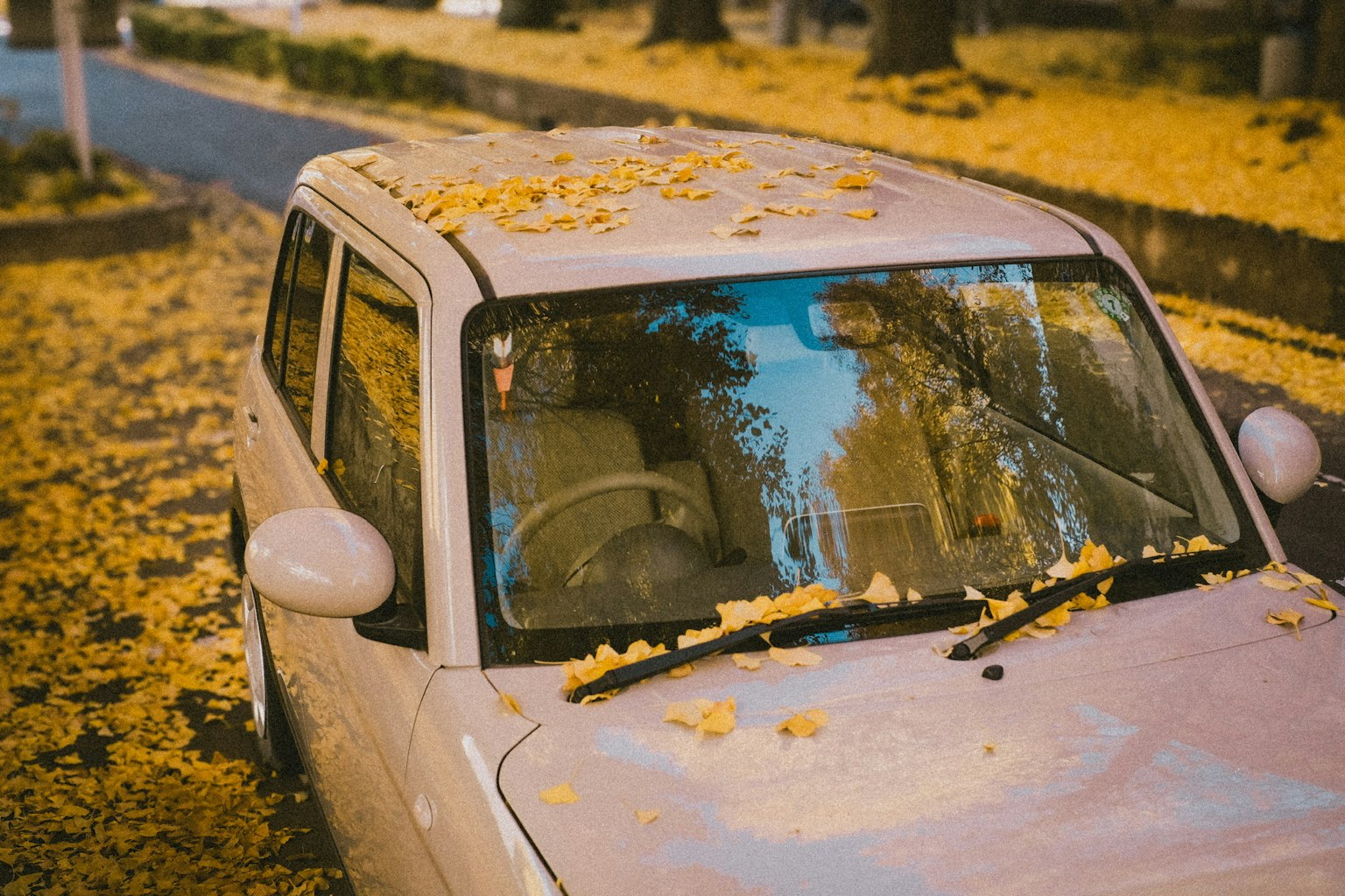 Auto mit Herbstblättern auf dem Dach