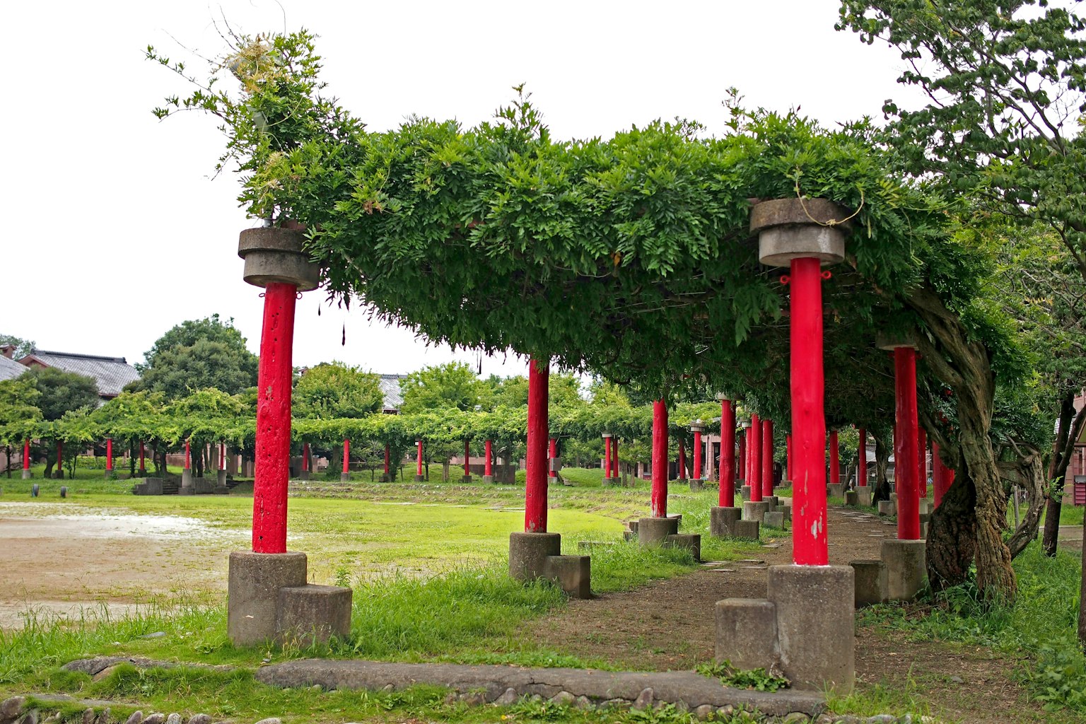 Park scene with red pillars and a roof covered in green plants