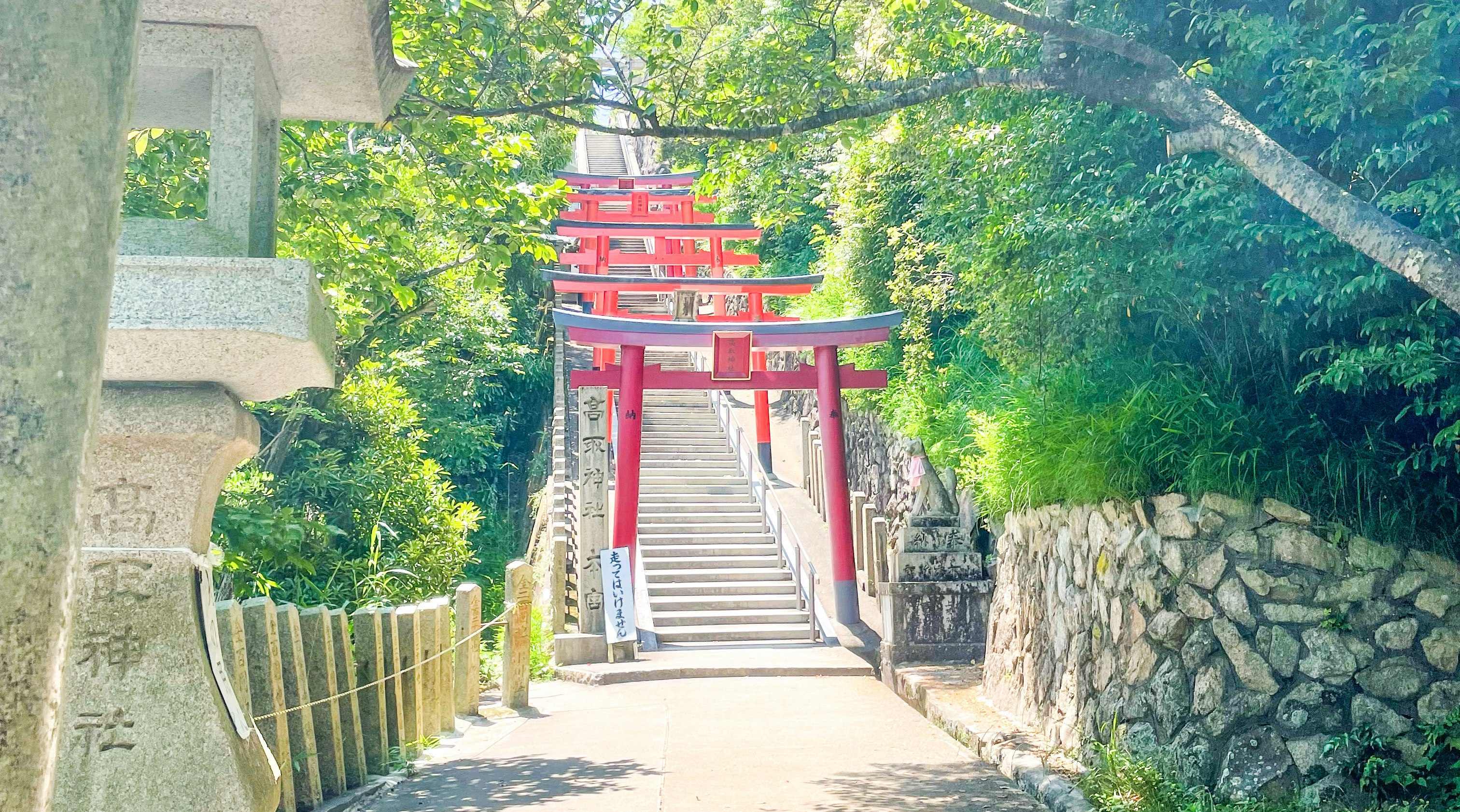 Gerbang torii merah vermilion dan tangga batu di sepanjang jalan hijau Kuil Takatōri