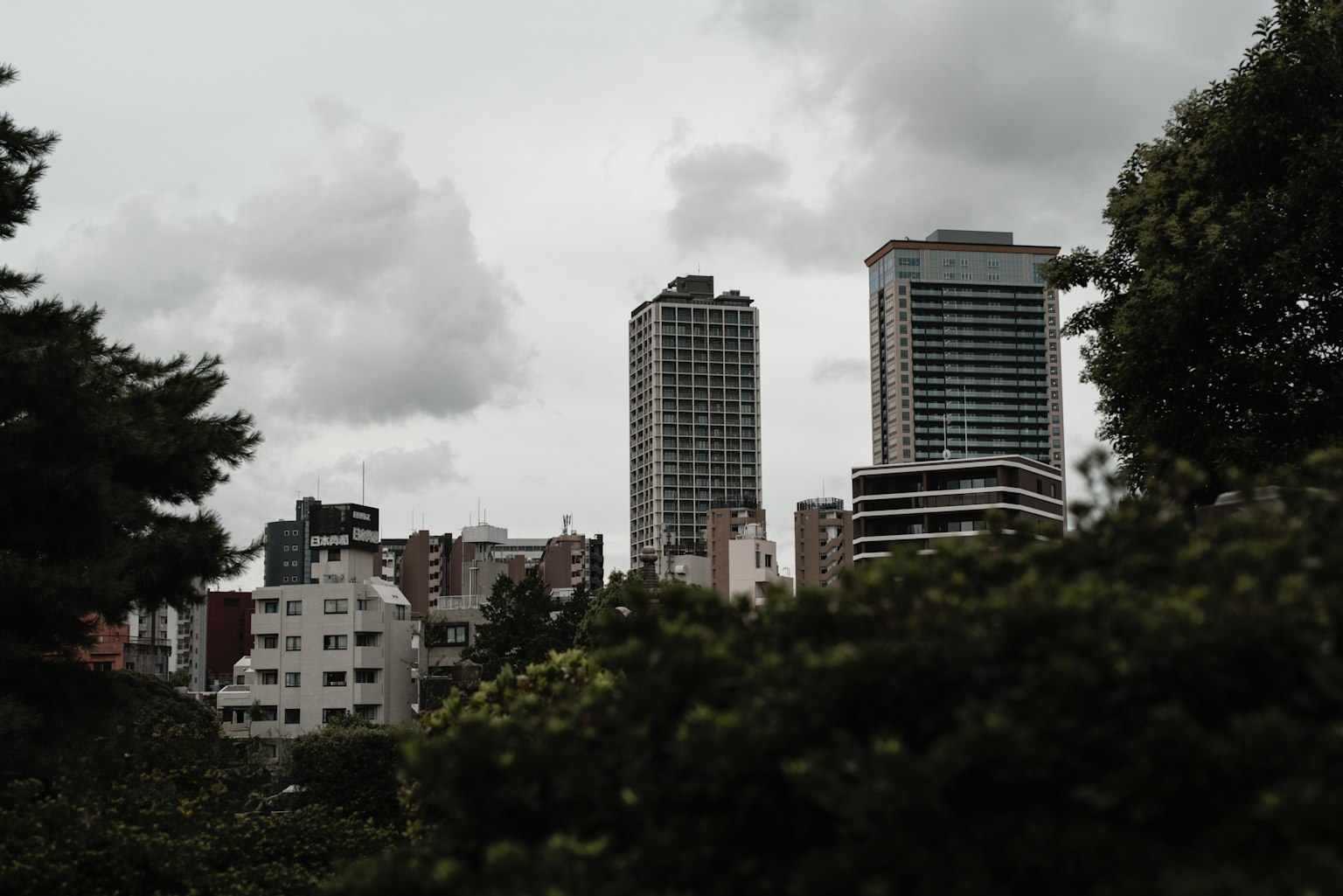 ทิวทัศน์เมืองที่มีตึกสูงและต้นไม้