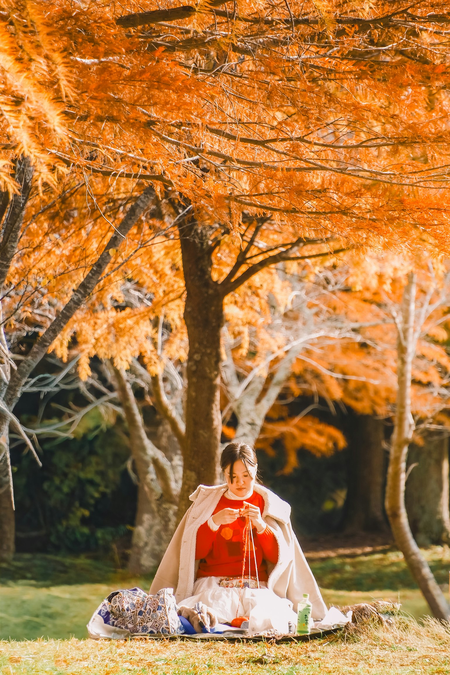 秋のオレンジ色の葉に囲まれた女性が座っている公園の風景