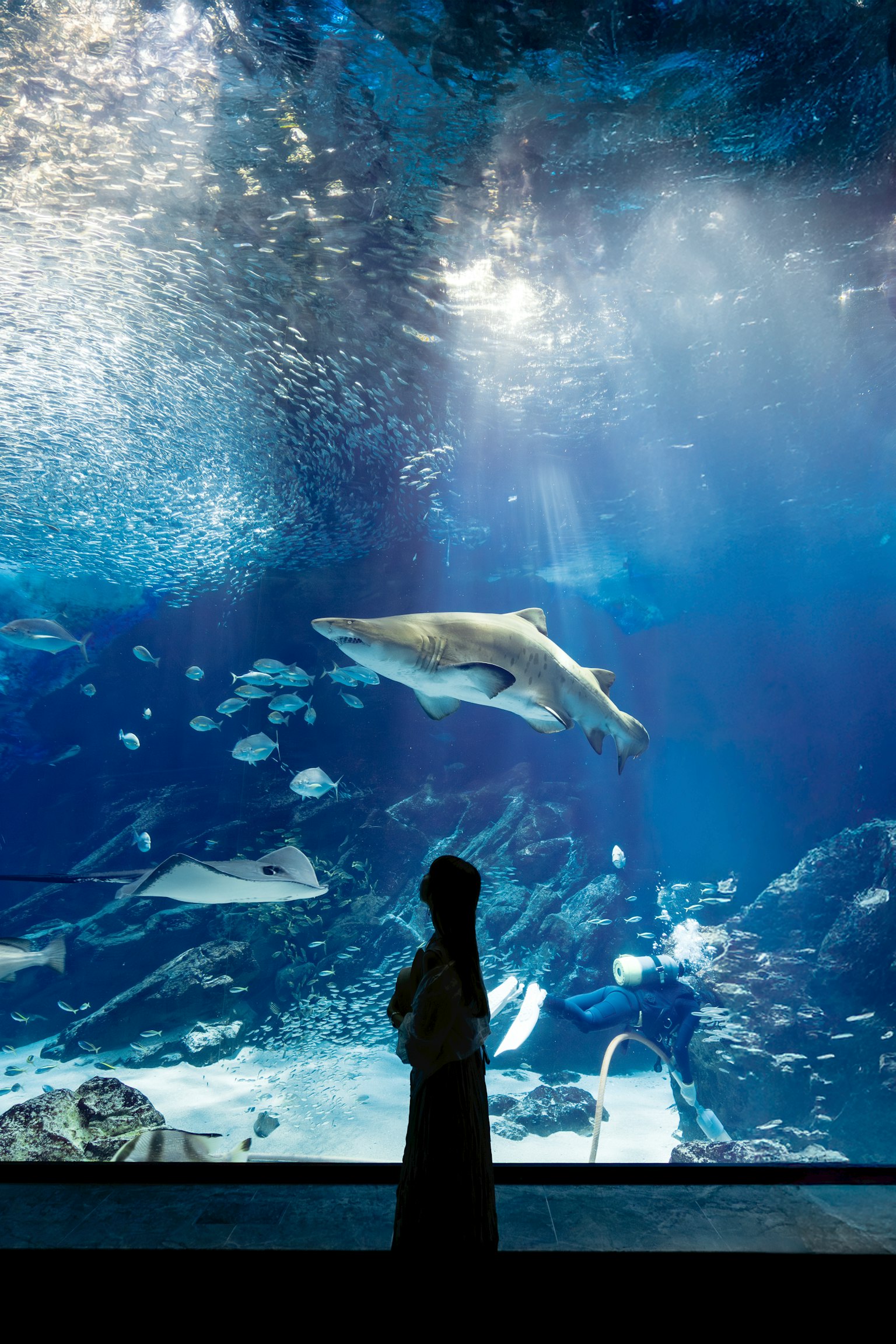 photo-jK6x3Ttoco1LKuNp4hJh-image