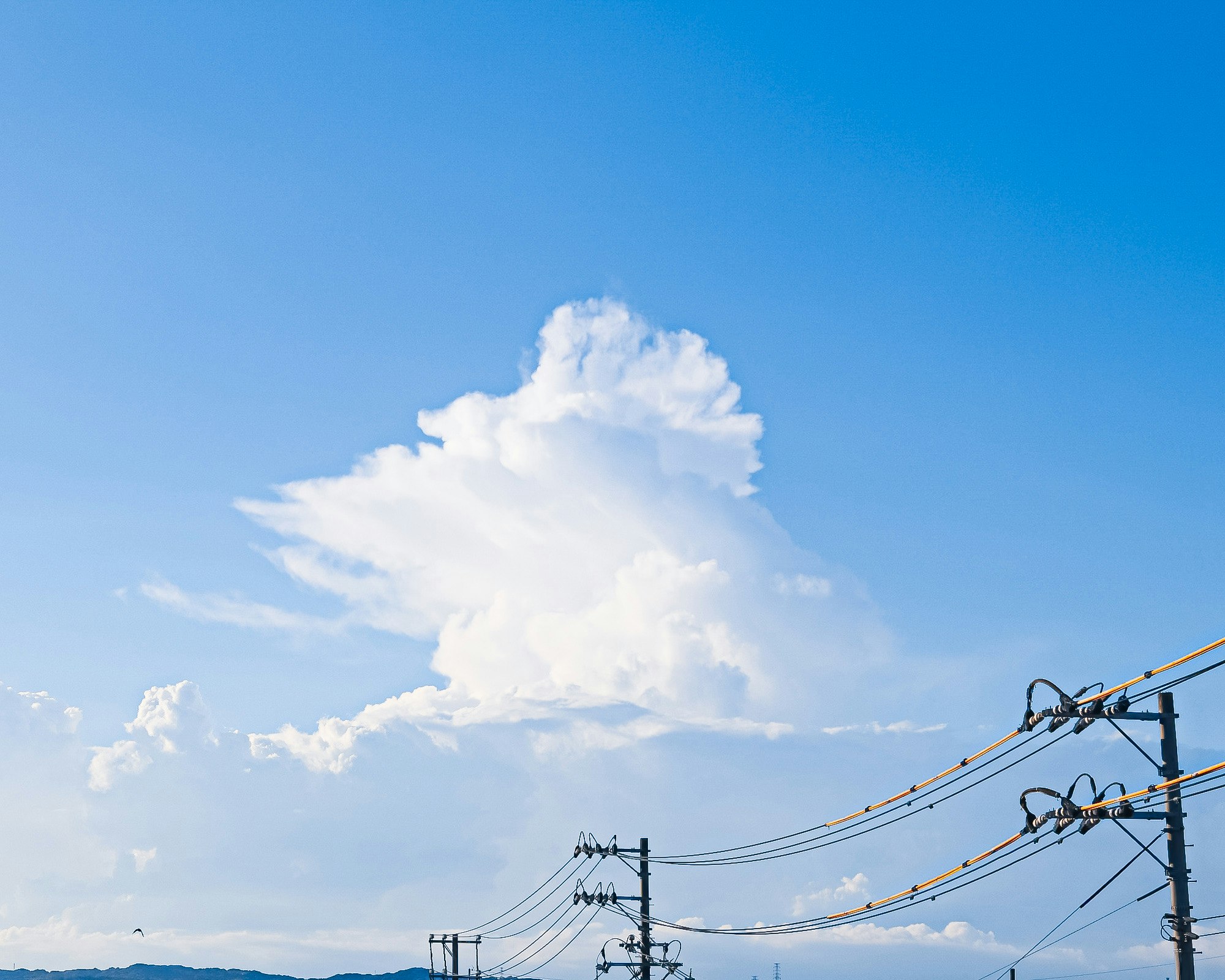 夏の空に浮かぶ大きな雲と電線のある風景
