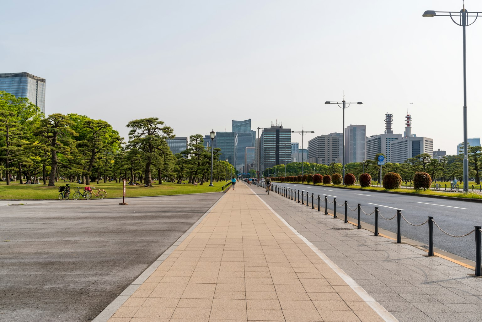 Large promenade bordée d'arbres verts et skyline urbain