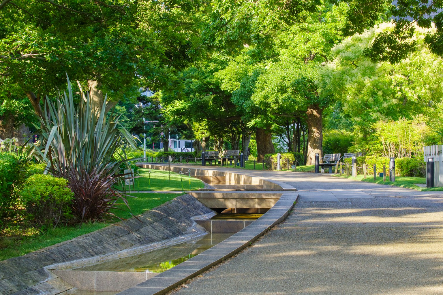 Lush green park pathway with flowing water