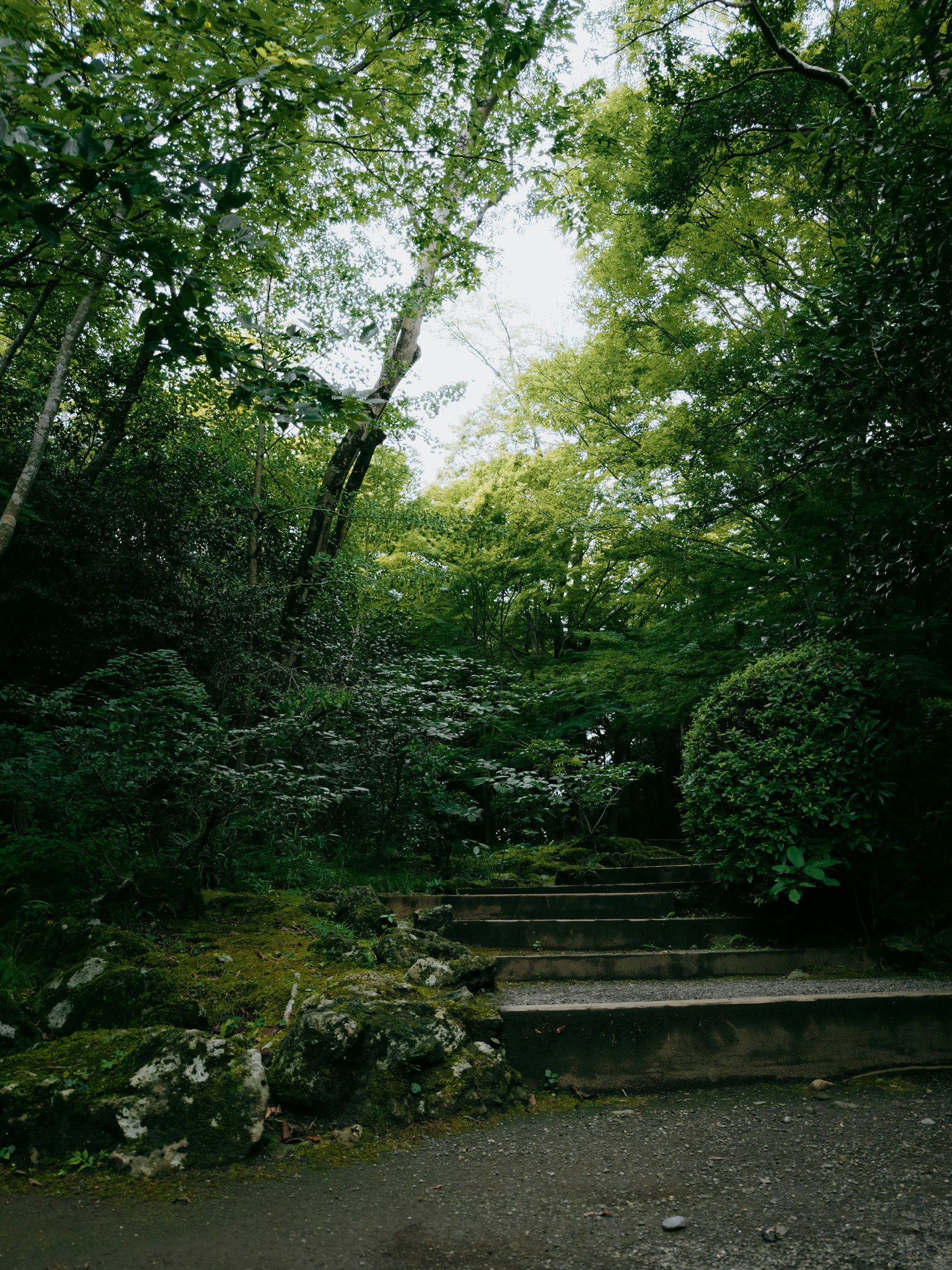Scorcio del giardino di Lakujuen con alberi rigogliosi e un sentiero