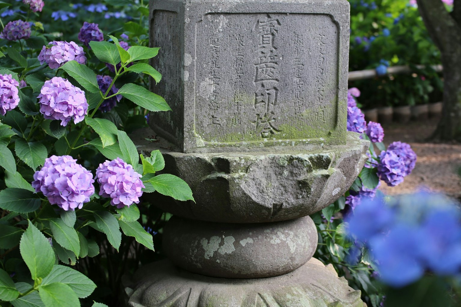 Linterna de piedra rodeada de hortensias con caracteres grabados