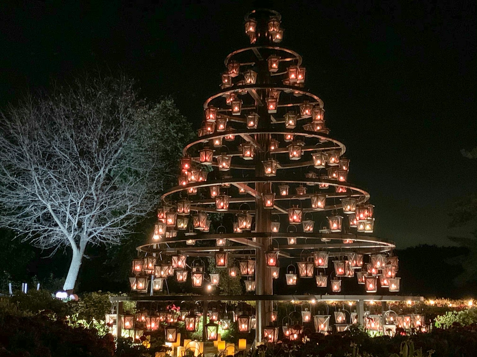 Árbol de velas iluminado con un árbol desnudo por la noche