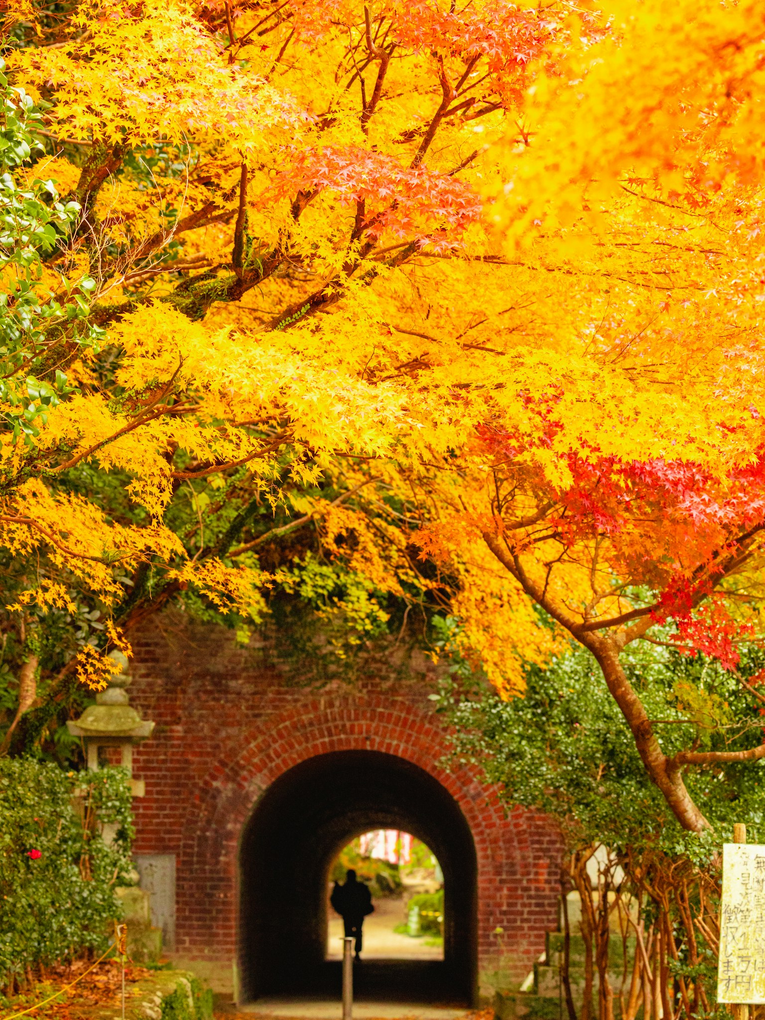 Lebendige Herbstlaub umgibt einen Ziegelbogen-Tunnel