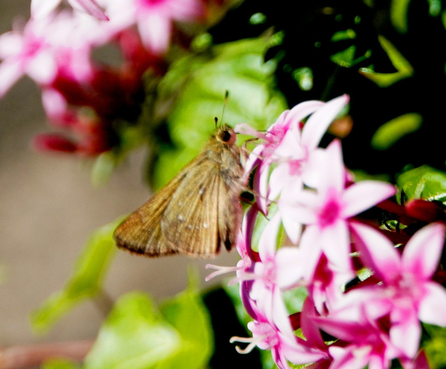 photo-jMI3jrG3t1lg5A1ffNkz-image
