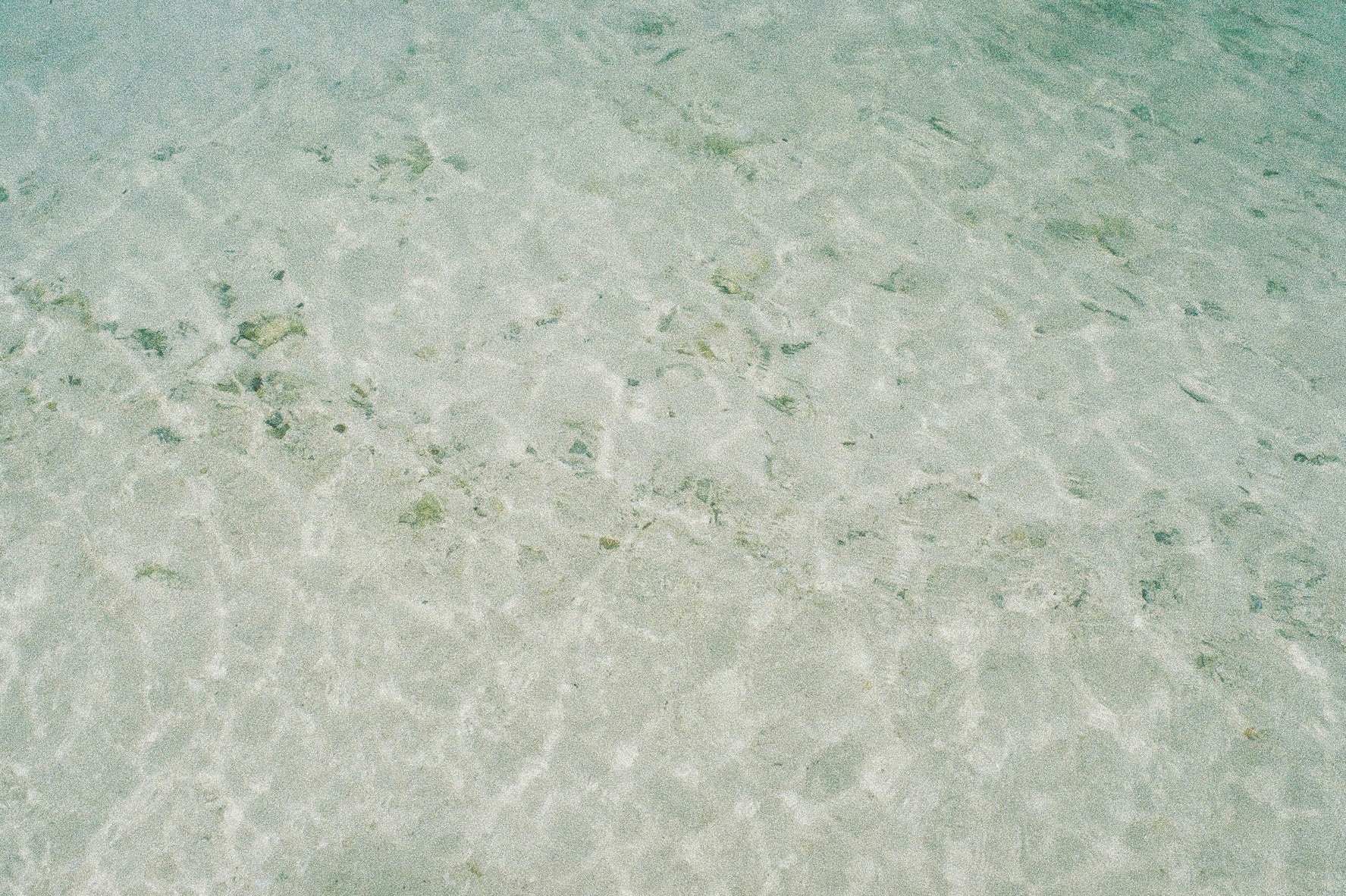 淡い緑が広がる水面のような質感