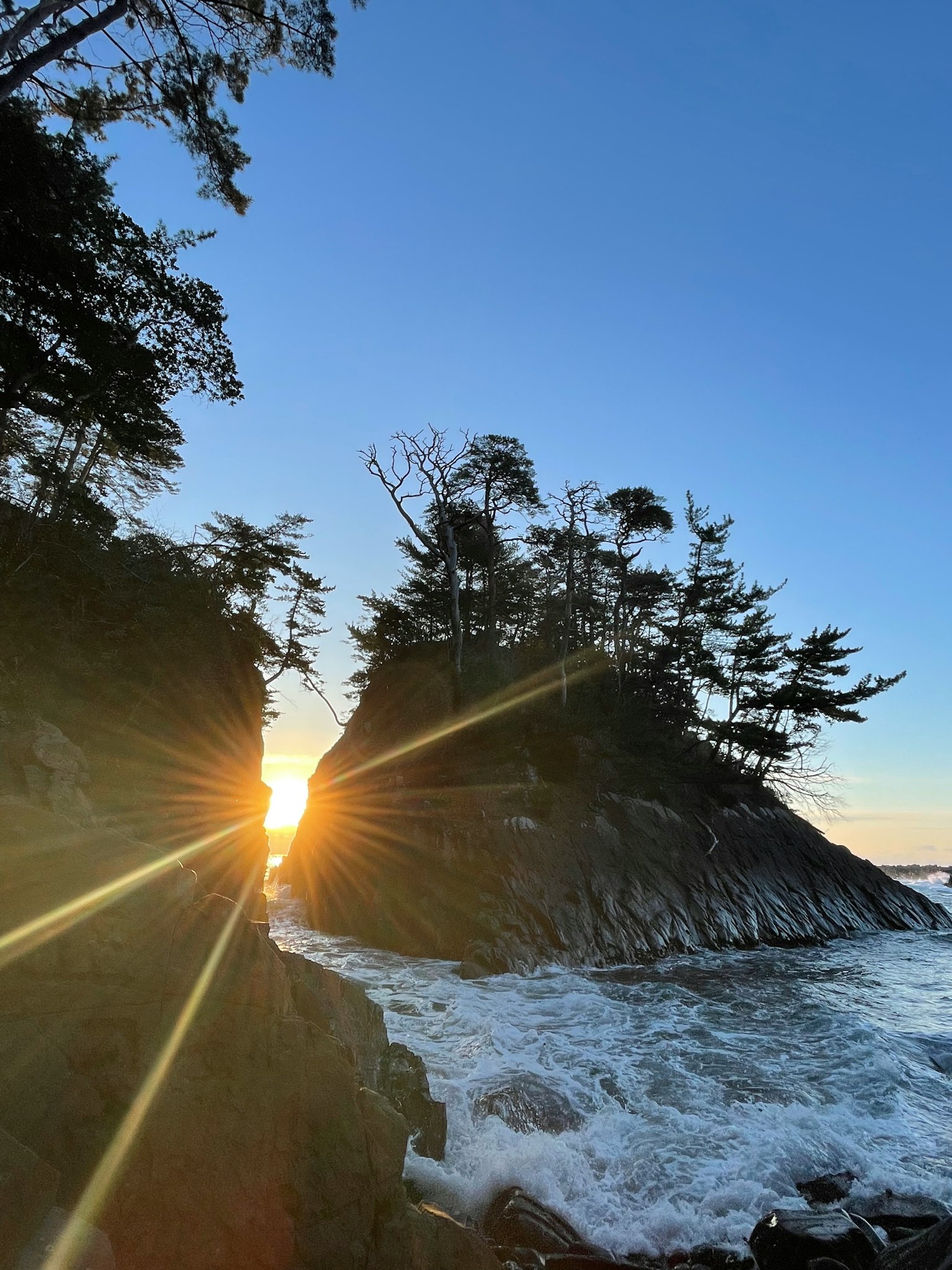 阳光穿过岩石与海浪和树木