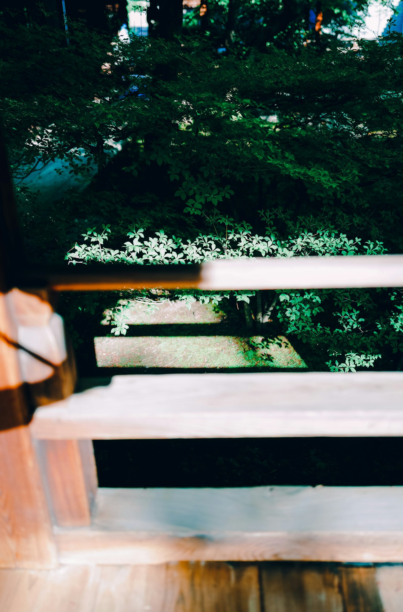 Railing in legno che si affaccia su una vegetazione lussureggiante