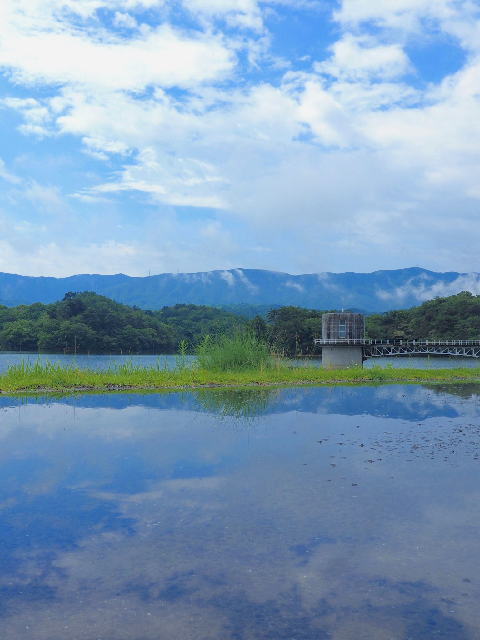湖泊風景映照藍天和白雲 背景有山脈和綠色草叢