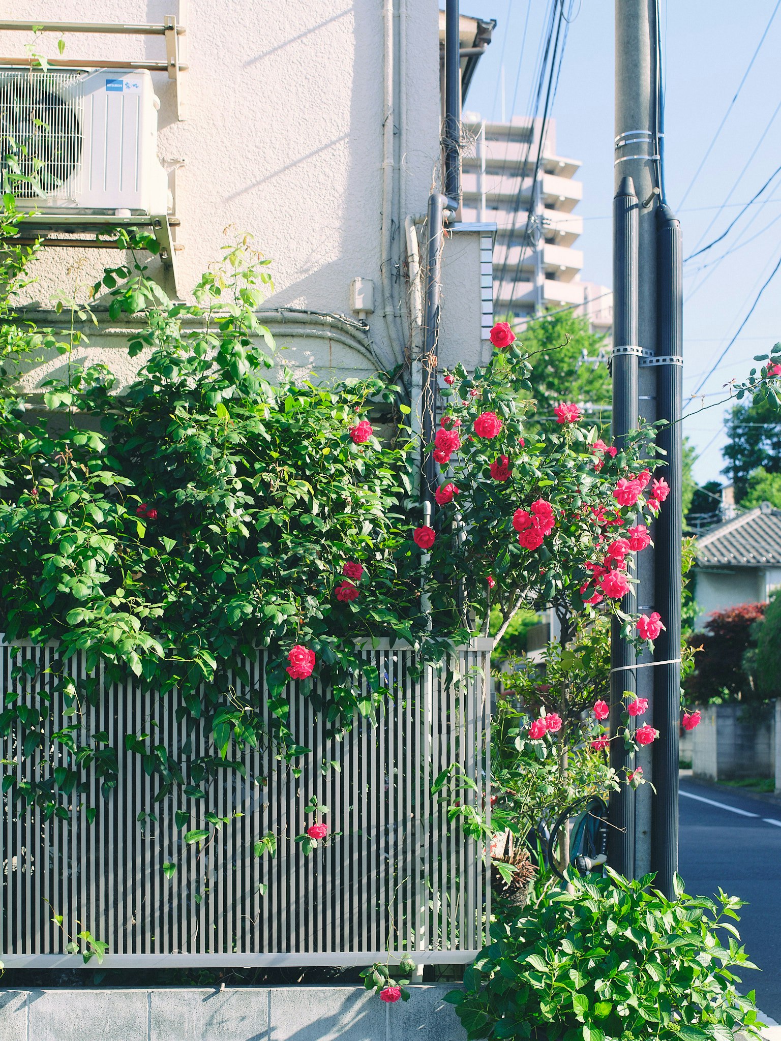photo-jNiVWoooNa90KsNQ30Lm-image