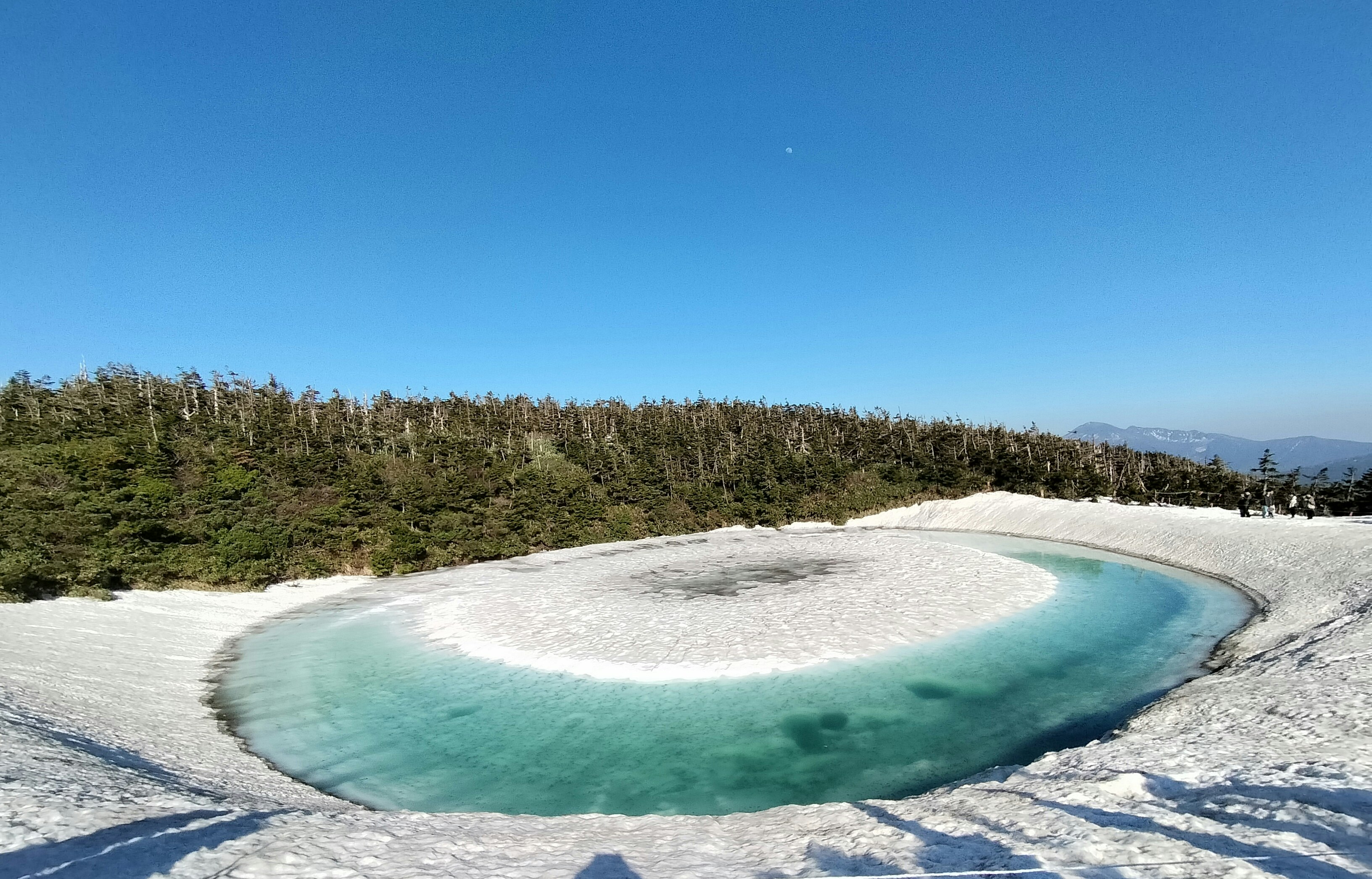 エメラルド色の温泉が広がる川のような湯だまりの景観