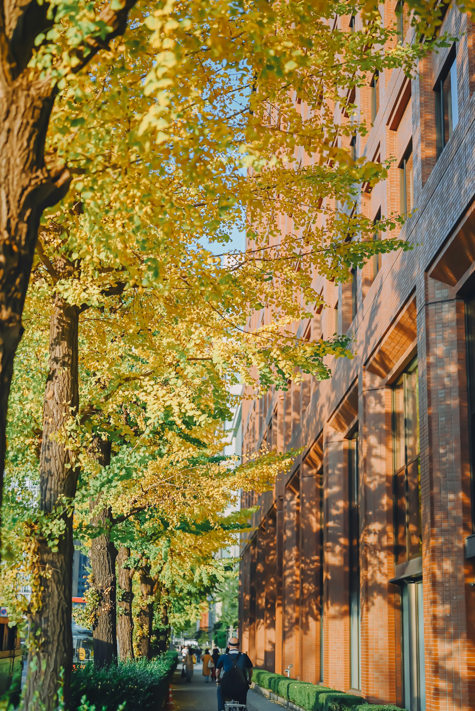 Straße mit Herbstlaub und orangefarbener Gebäudefassade