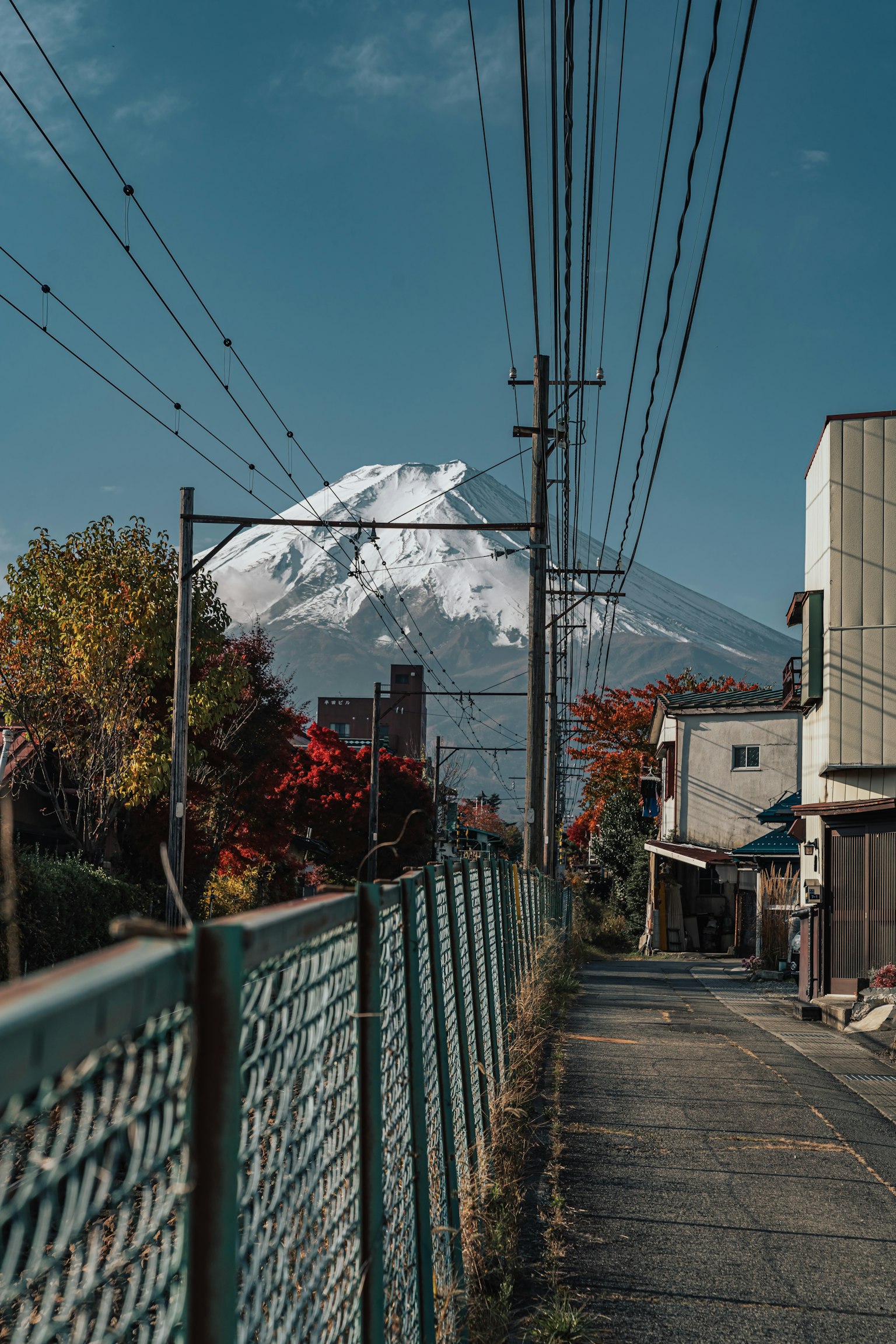 A scenic view of Mount Fuji with autumn foliage along a pathway