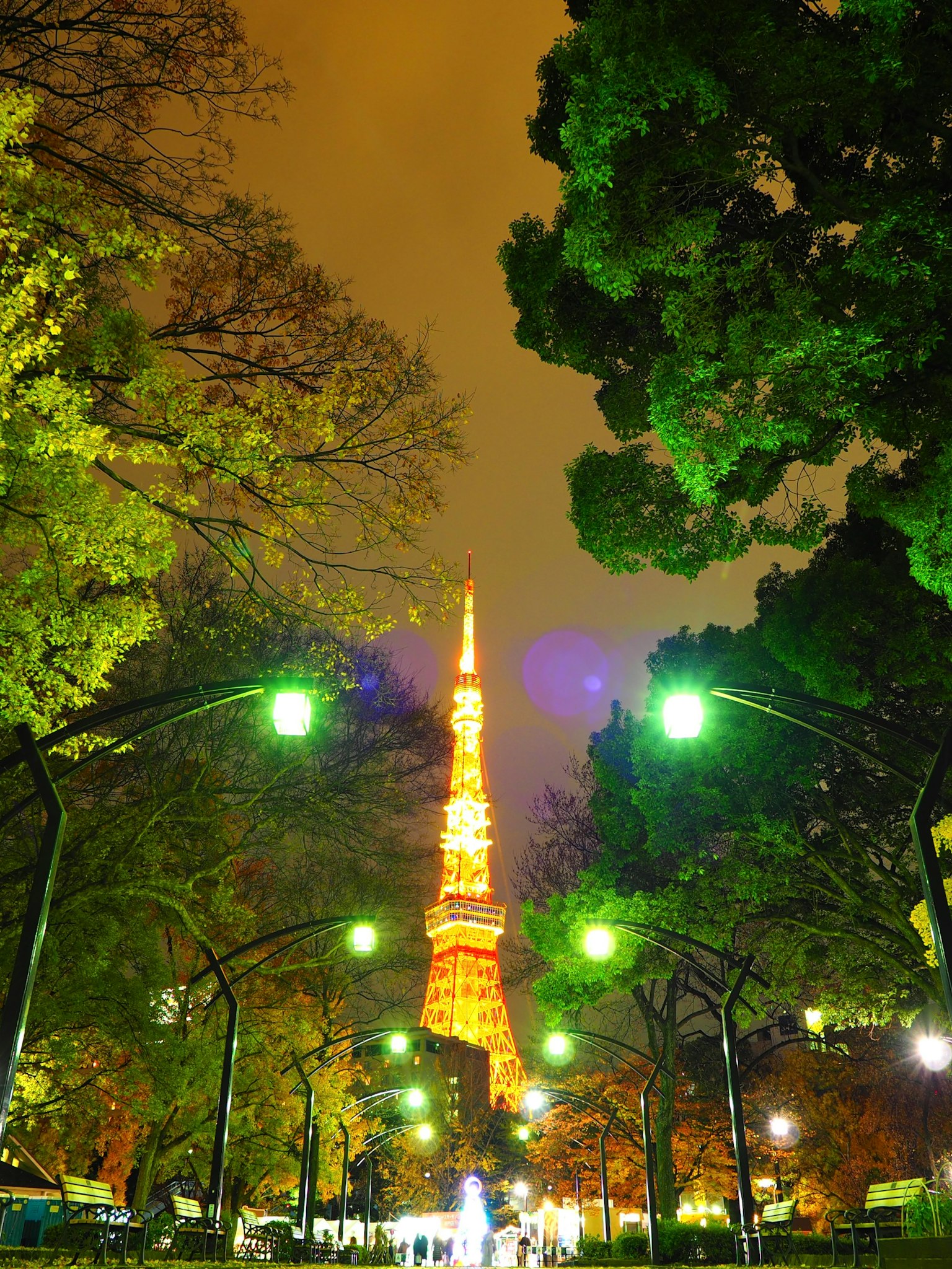 Torre de Tokio iluminada por la noche rodeada de vegetación en un parque