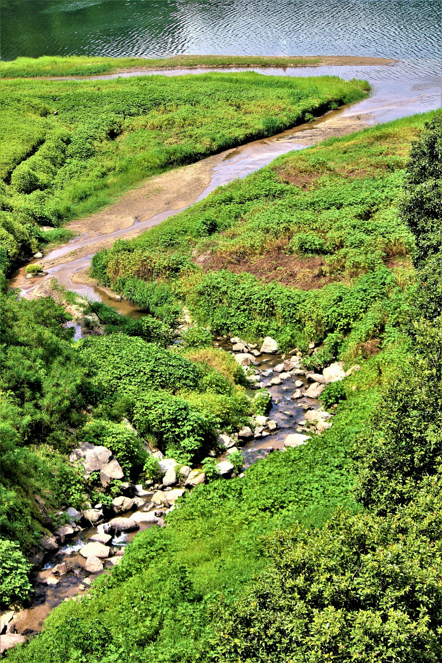 A scenic view of a winding stream surrounded by lush greenery