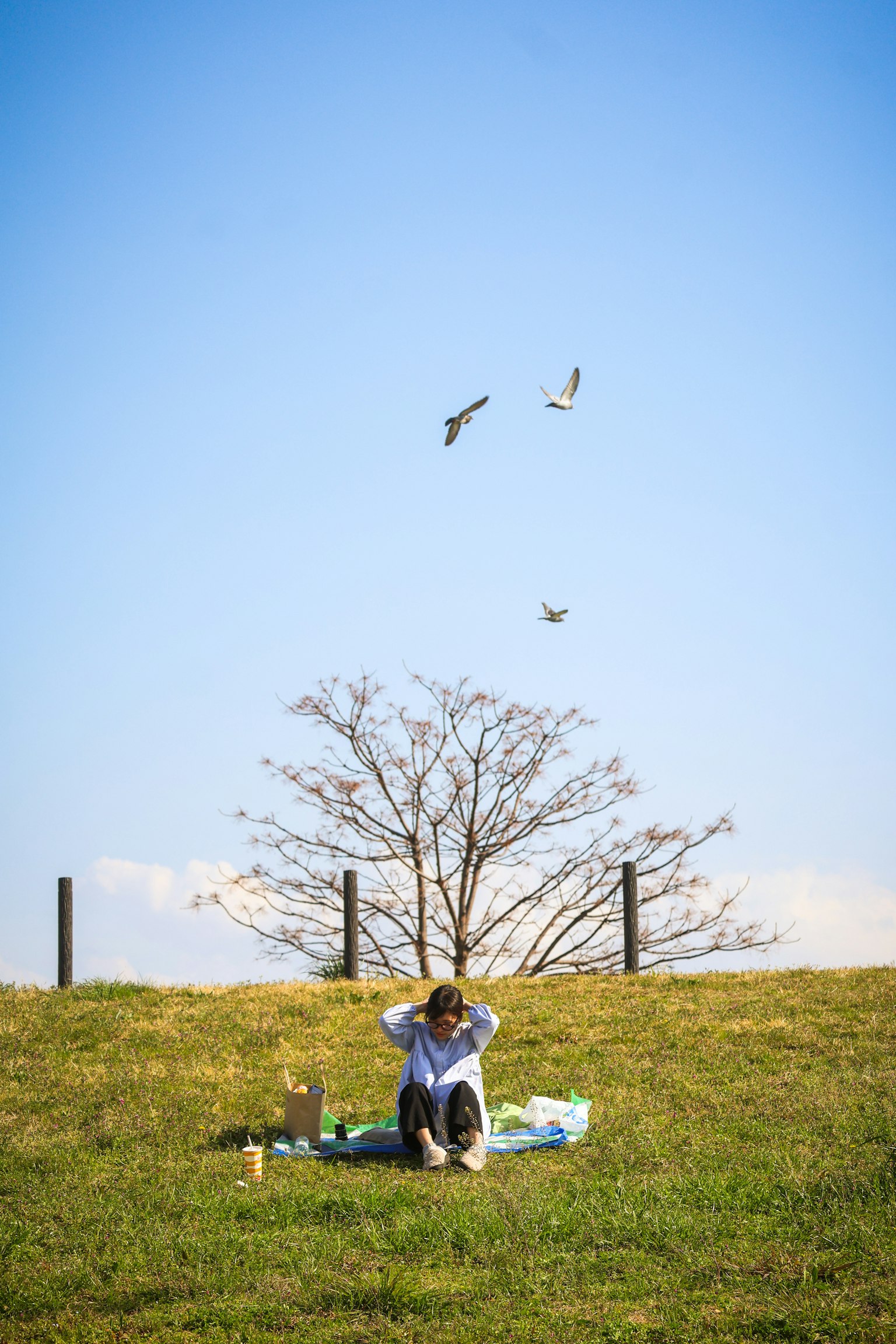 Une personne assise sur l'herbe sous un ciel bleu avec un arbre et des oiseaux volants