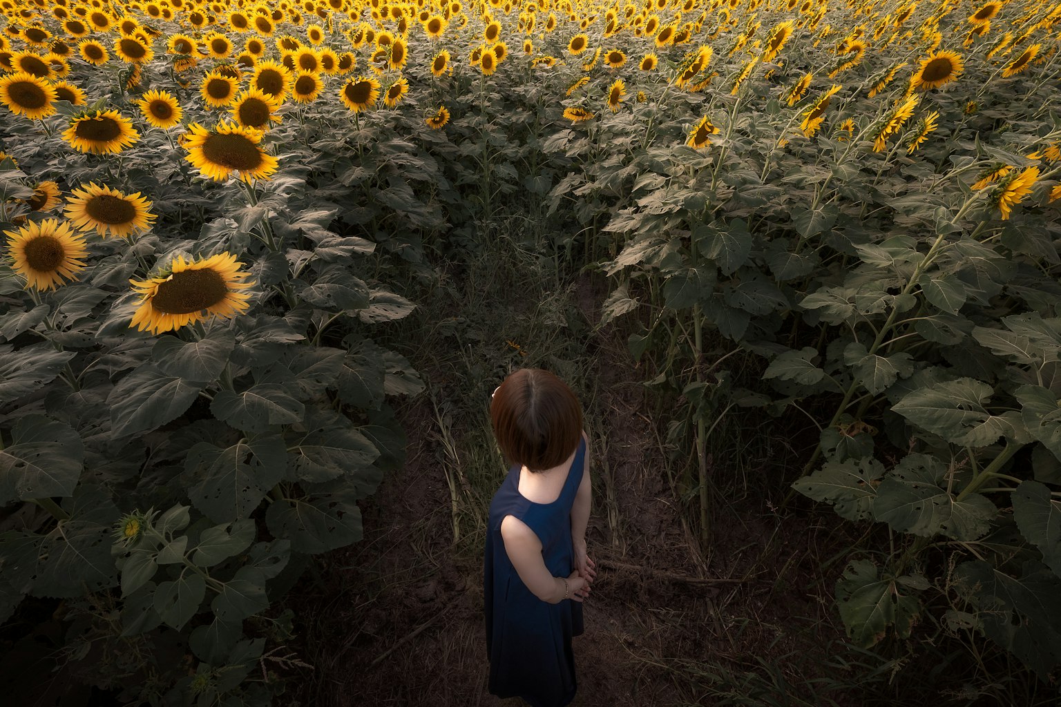photo-jPPyJqH3XHHl1byeN0jW-image