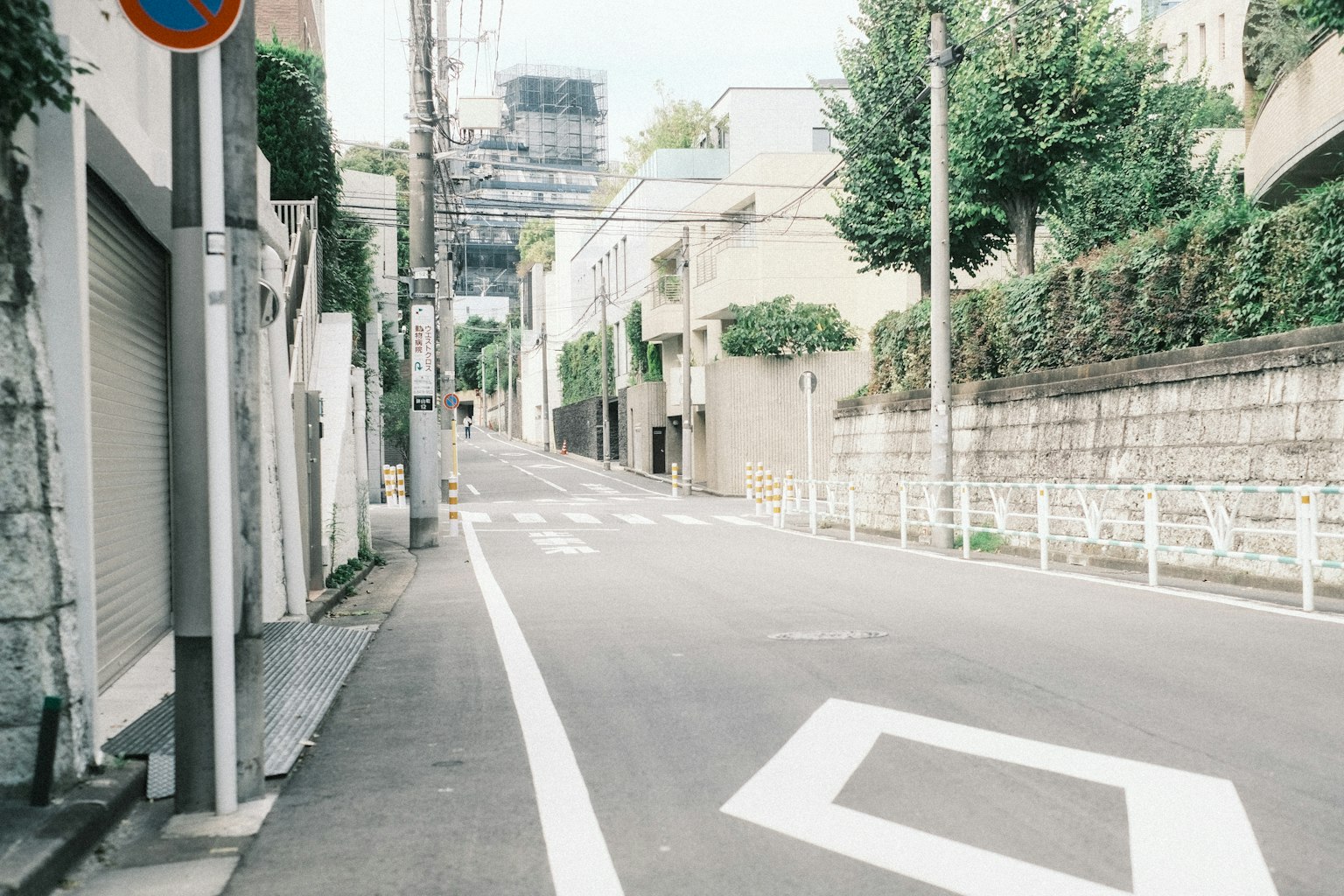 安靜的街道場景，綠色樹木和斜坡上的住宅