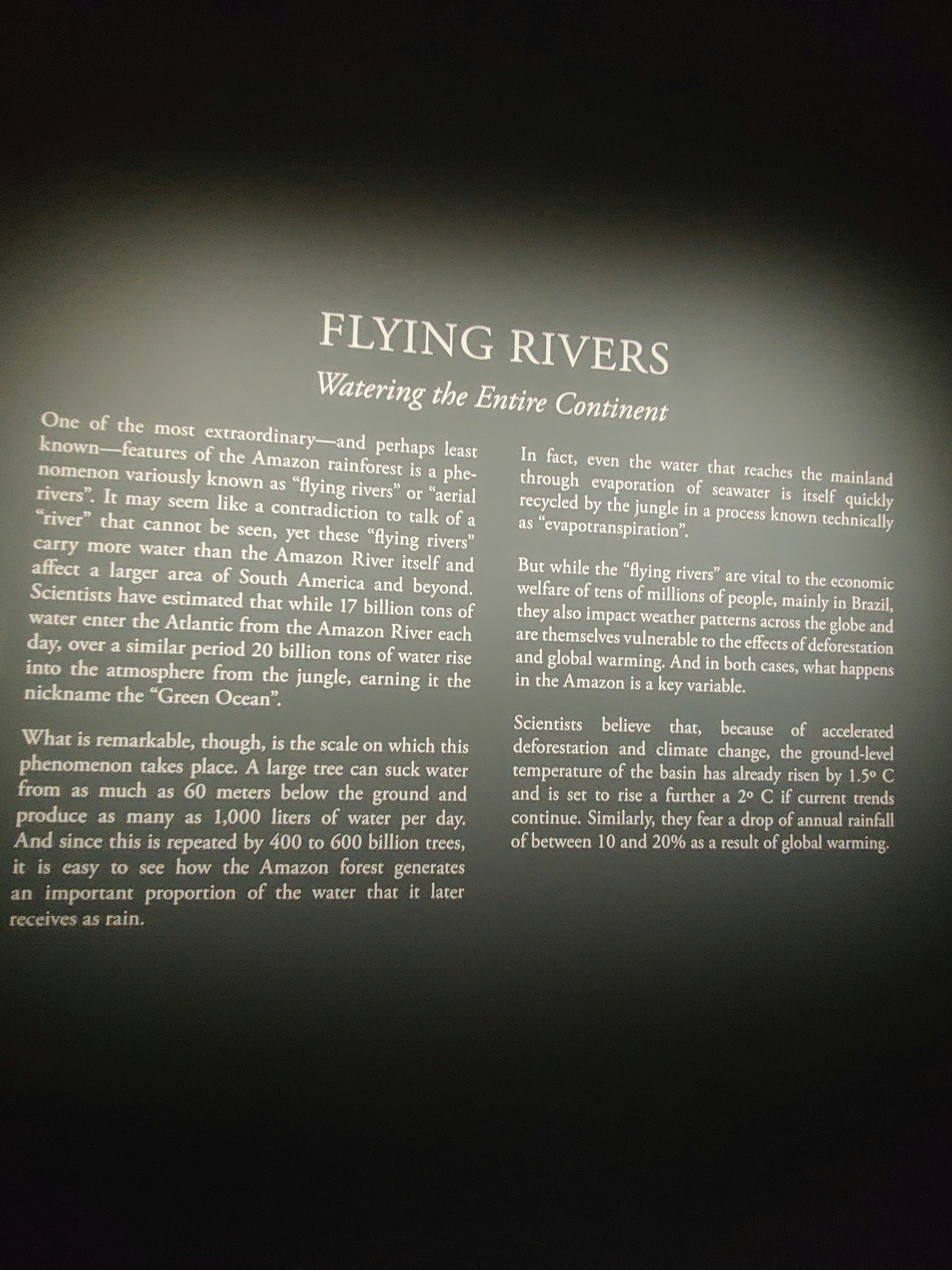 展板文字与“FLYING RIVERS”标题