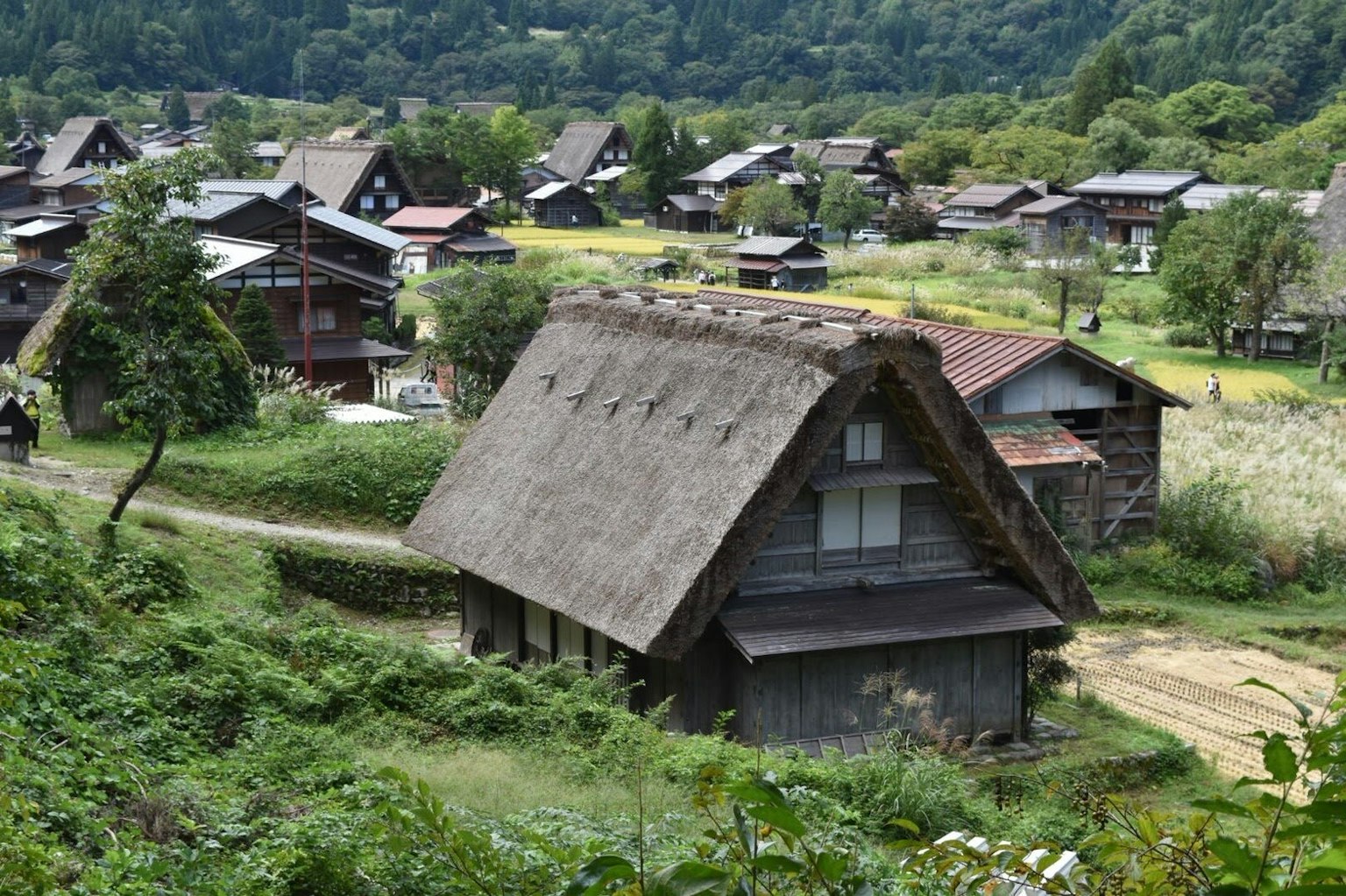 傳統合掌造屋坐落在風景如畫的山區