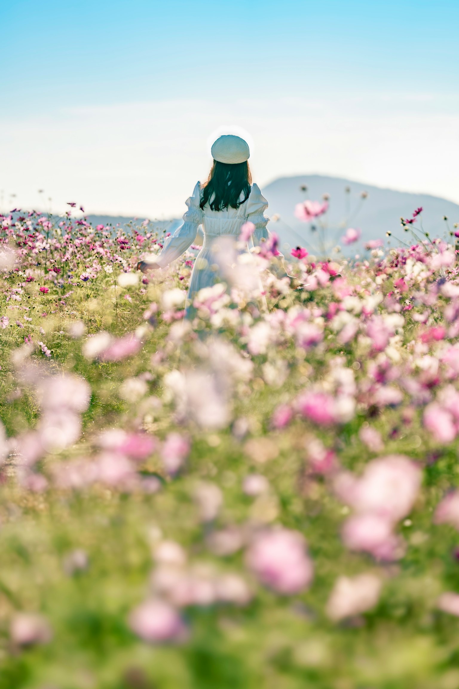 花畑の中で立つ人形の後ろ姿 青空と山々が背景にある