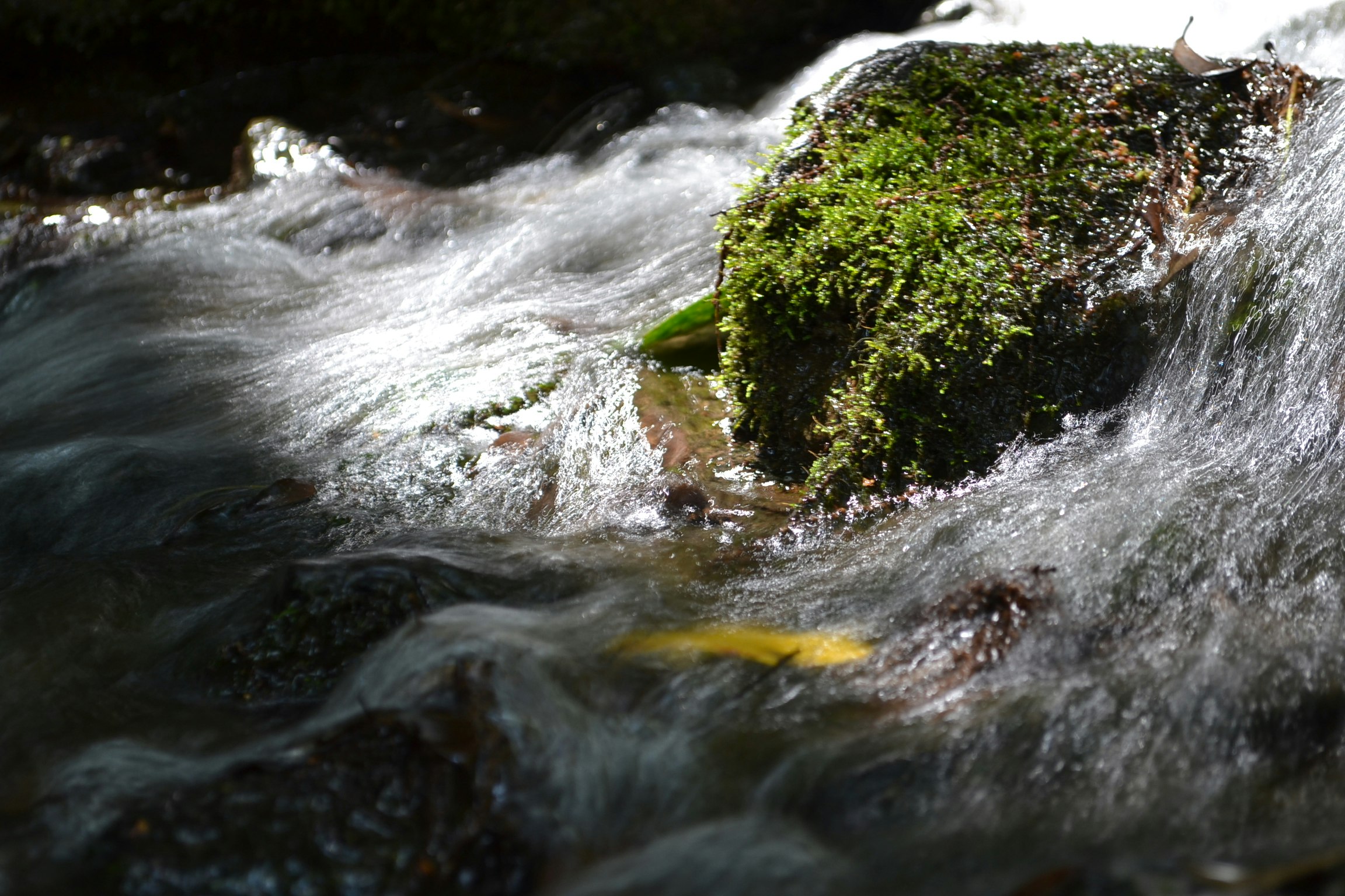 arroyo sobre rocas cubiertas de musgo con salpicaduras