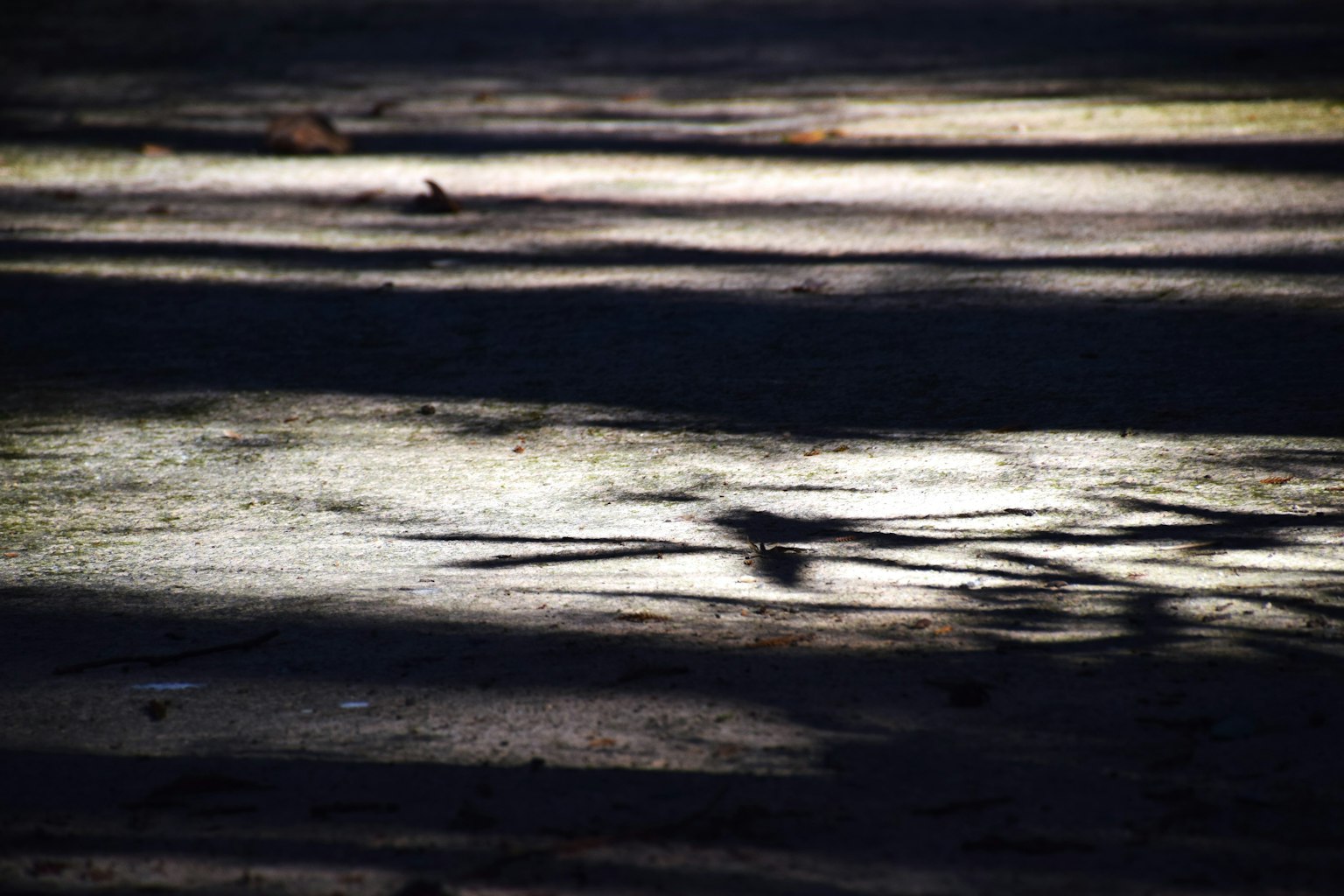 Terreno texturizzato con strisce di luce su uno sfondo scuro