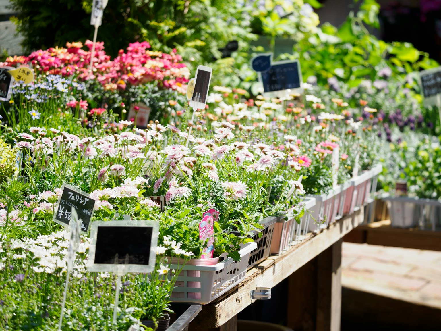 A vibrant display of various flowers at a garden center