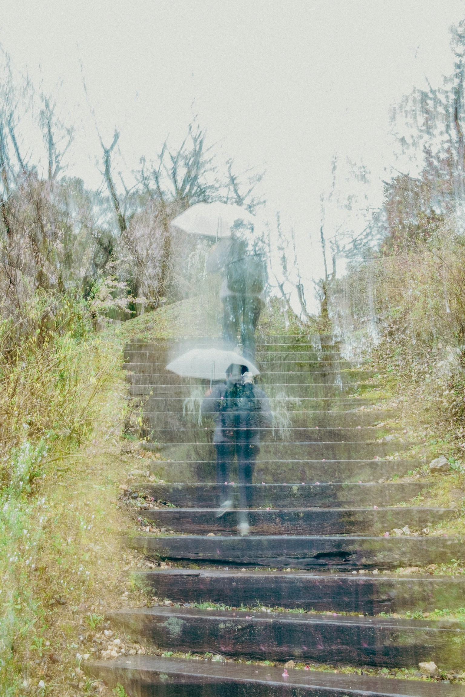 photo-jQlPPTNqB0dyrO9q5b0d-image