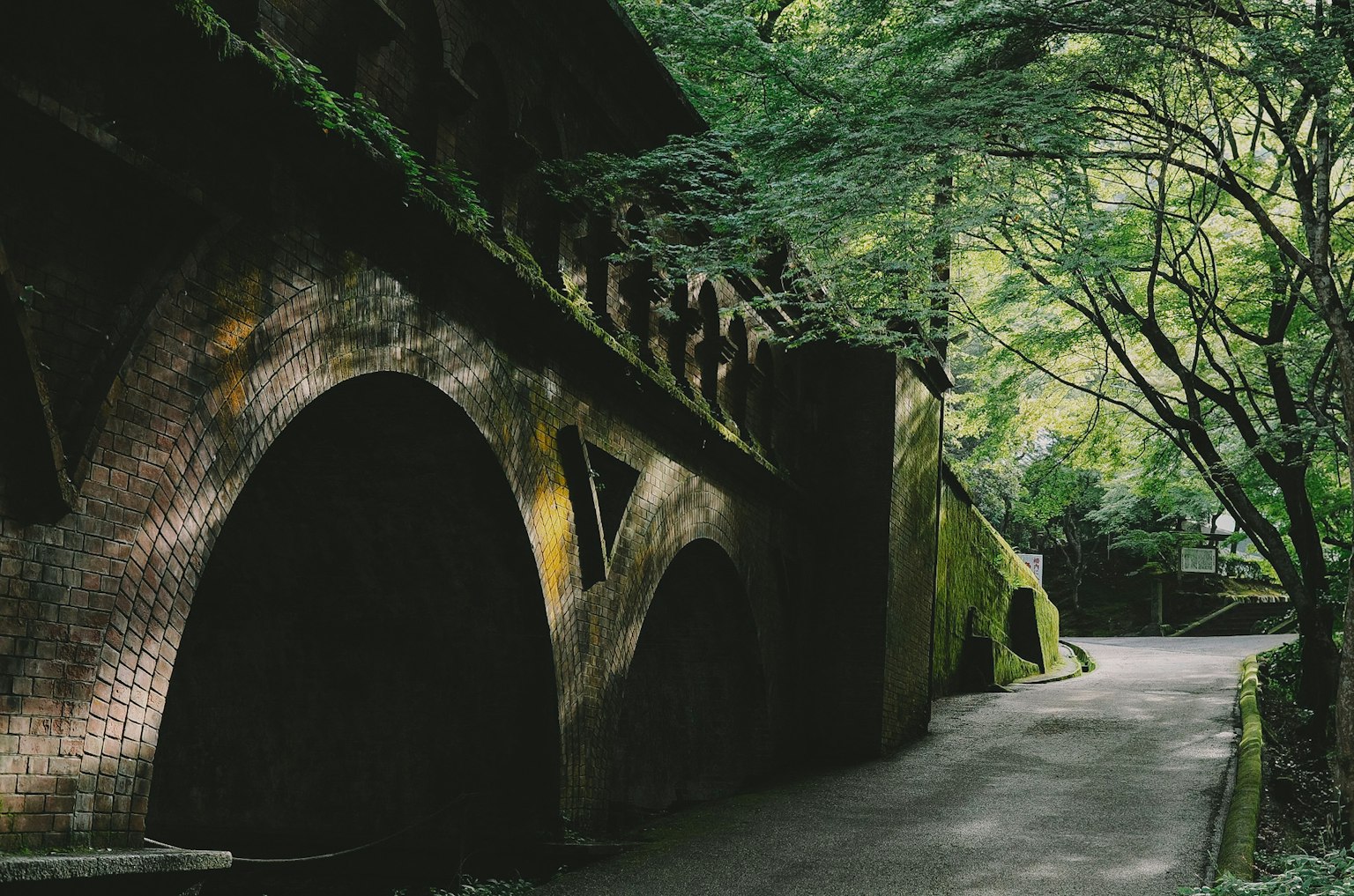被绿色覆盖的拱桥和安静道路的风景