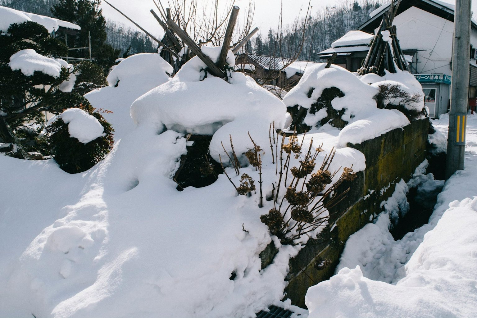 被雪覆蓋的木頭和周圍的風景