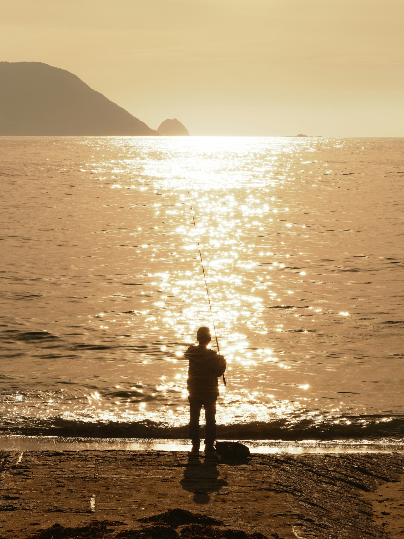 photo-jS8CO36lIrjkdZn0tvae-image