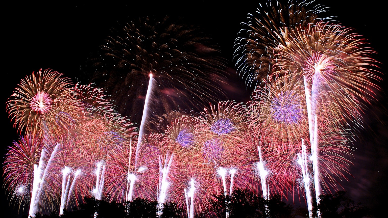 Espectáculo de fuegos artificiales coloridos en el cielo nocturno