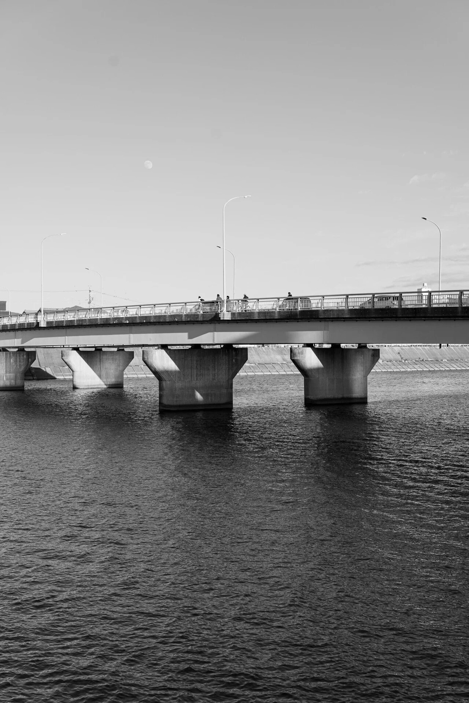 Black and white image of a bridge spanning over water