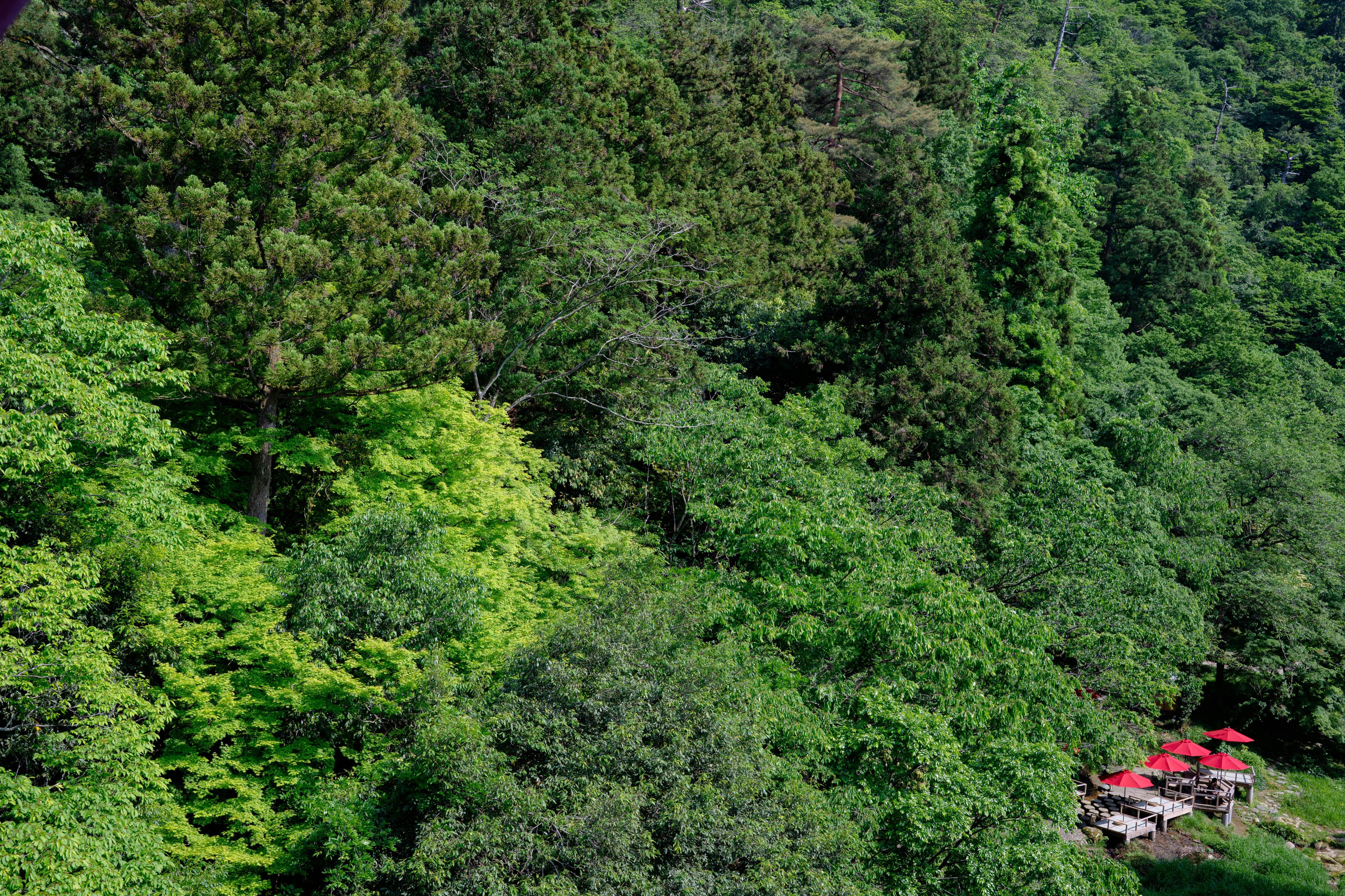 versante montano verde con edifici dal tetto rosso