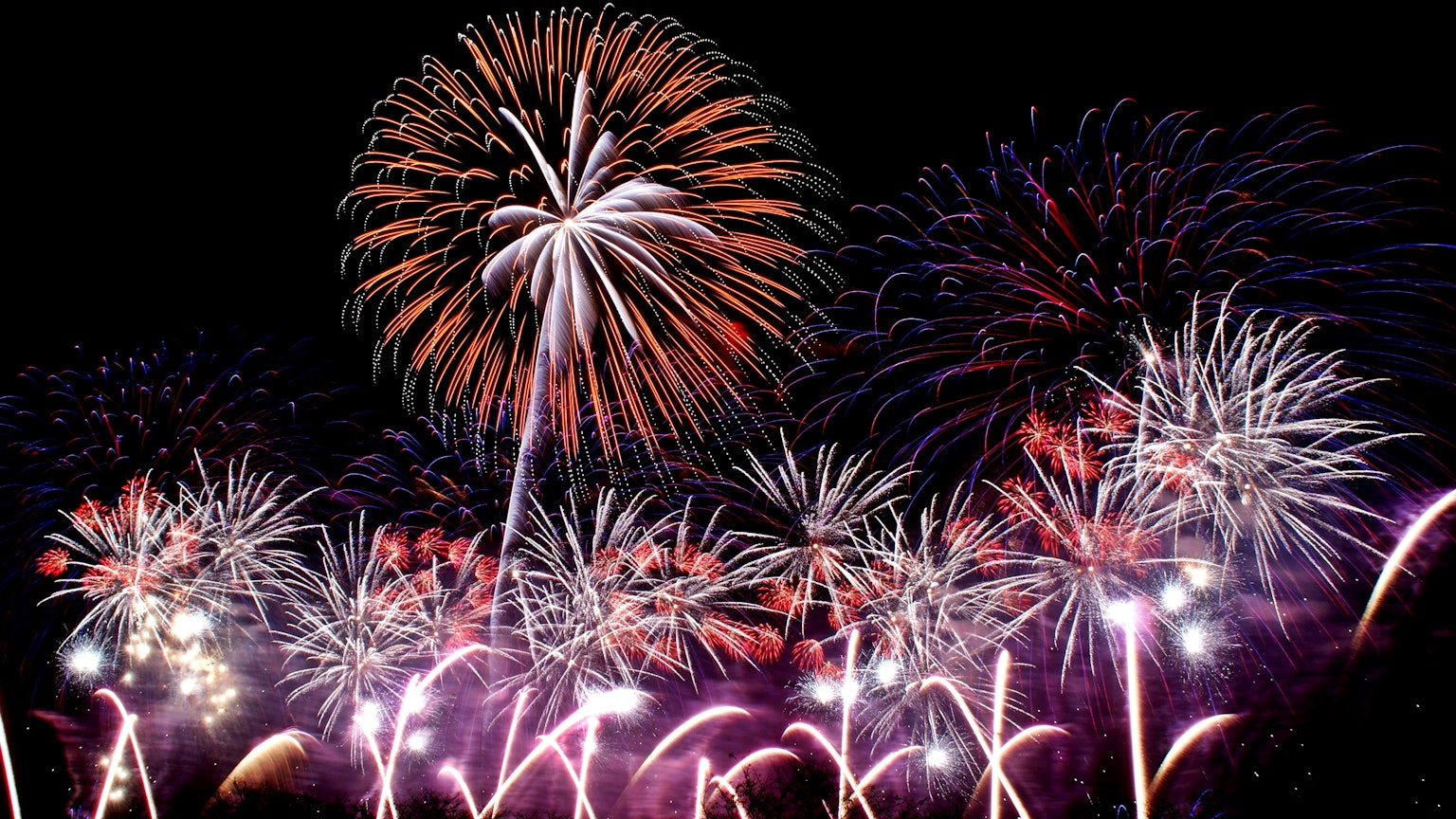 Fuegos artificiales coloridos estallando en el cielo nocturno