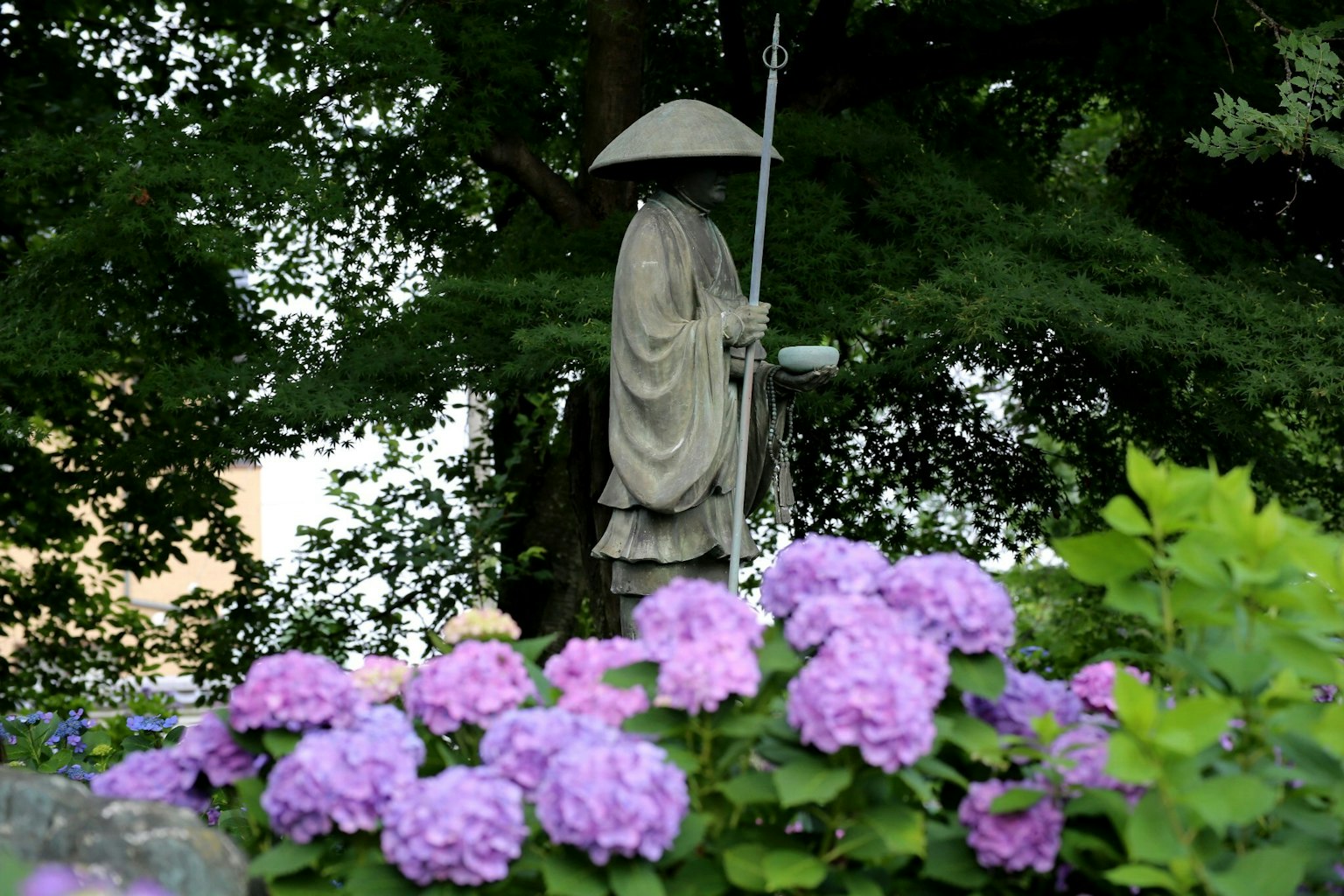 Una estatua de pie detrás de hortensias en flor