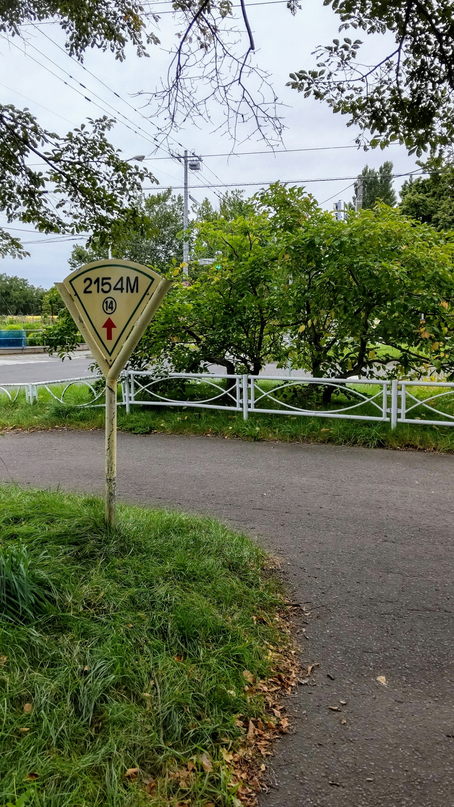绿意盎然的风景中可见的路标