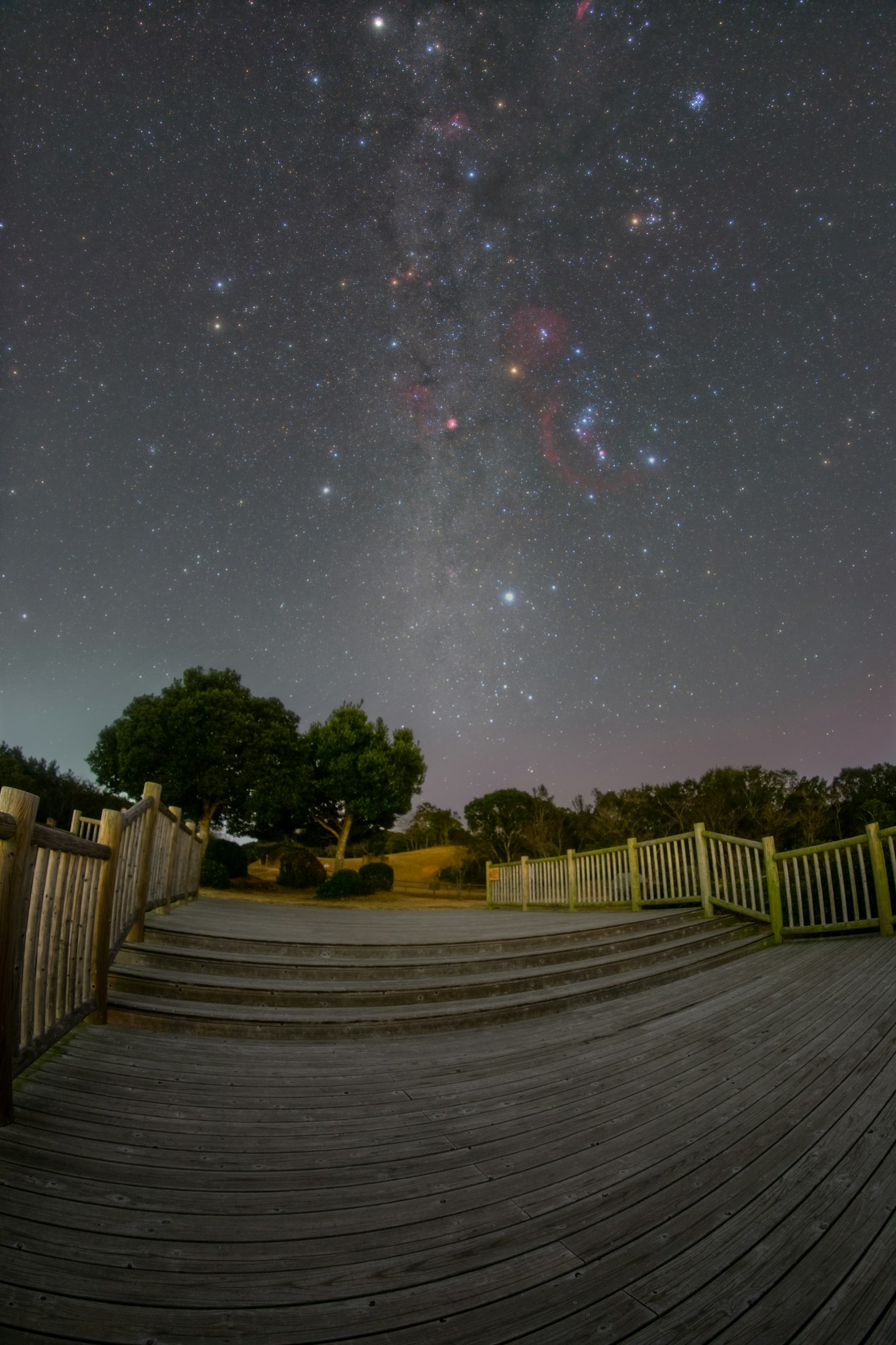 Vista di una terrazza sotto un cielo stellato con alberi