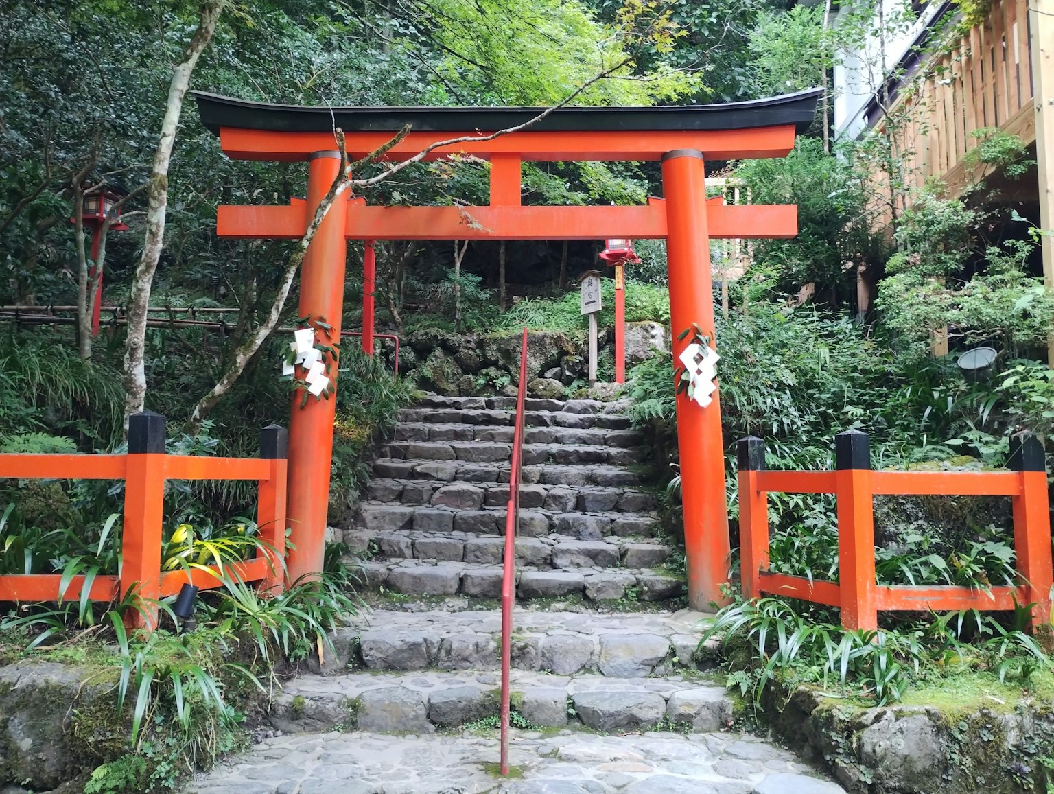 紅色鳥居和石階在郁郁蔥蔥的環境中