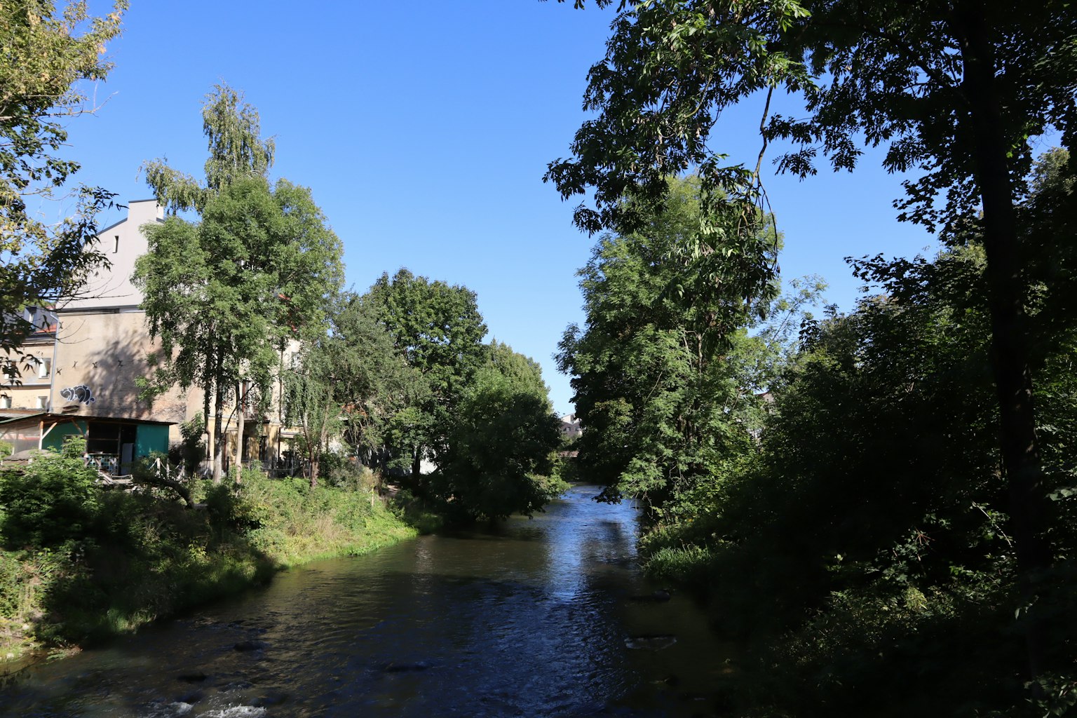 Vista panoramica del fiume sotto un cielo blu chiaro con alberi verdi rigogliosi