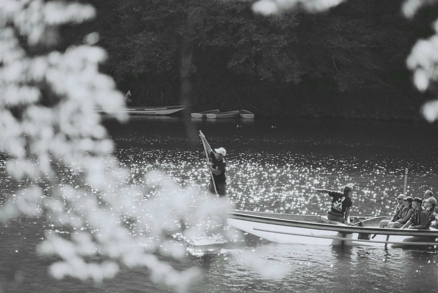 Black and white image of people in a boat on a river with cherry blossoms